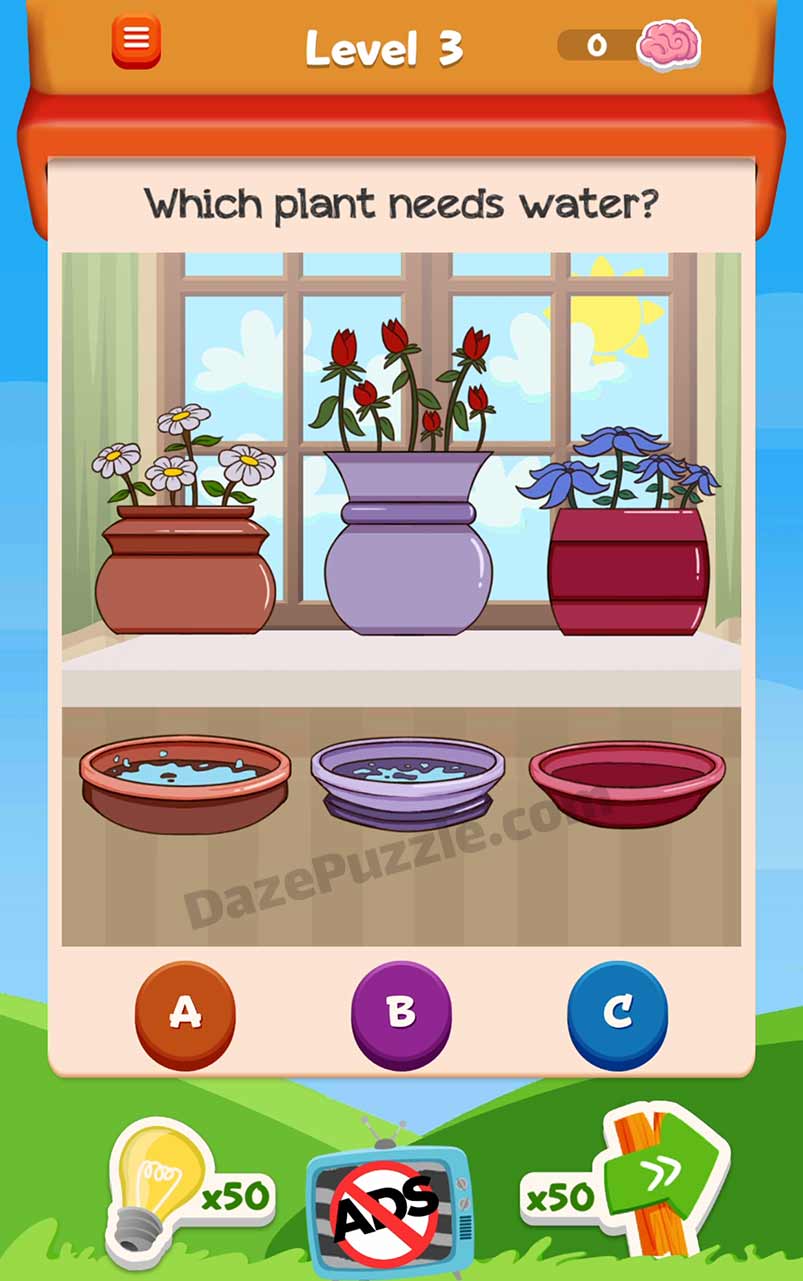 braindom 3 level 3 answer