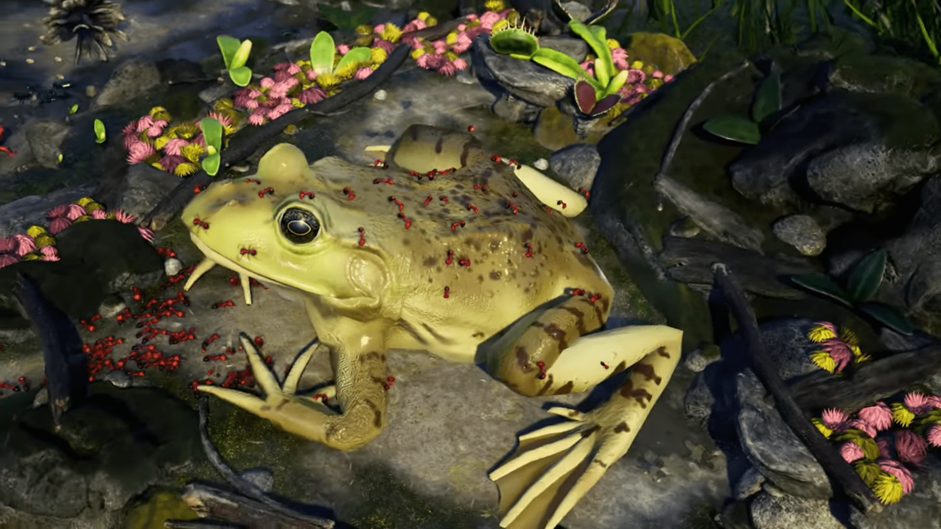 Empires of the Undergrowth