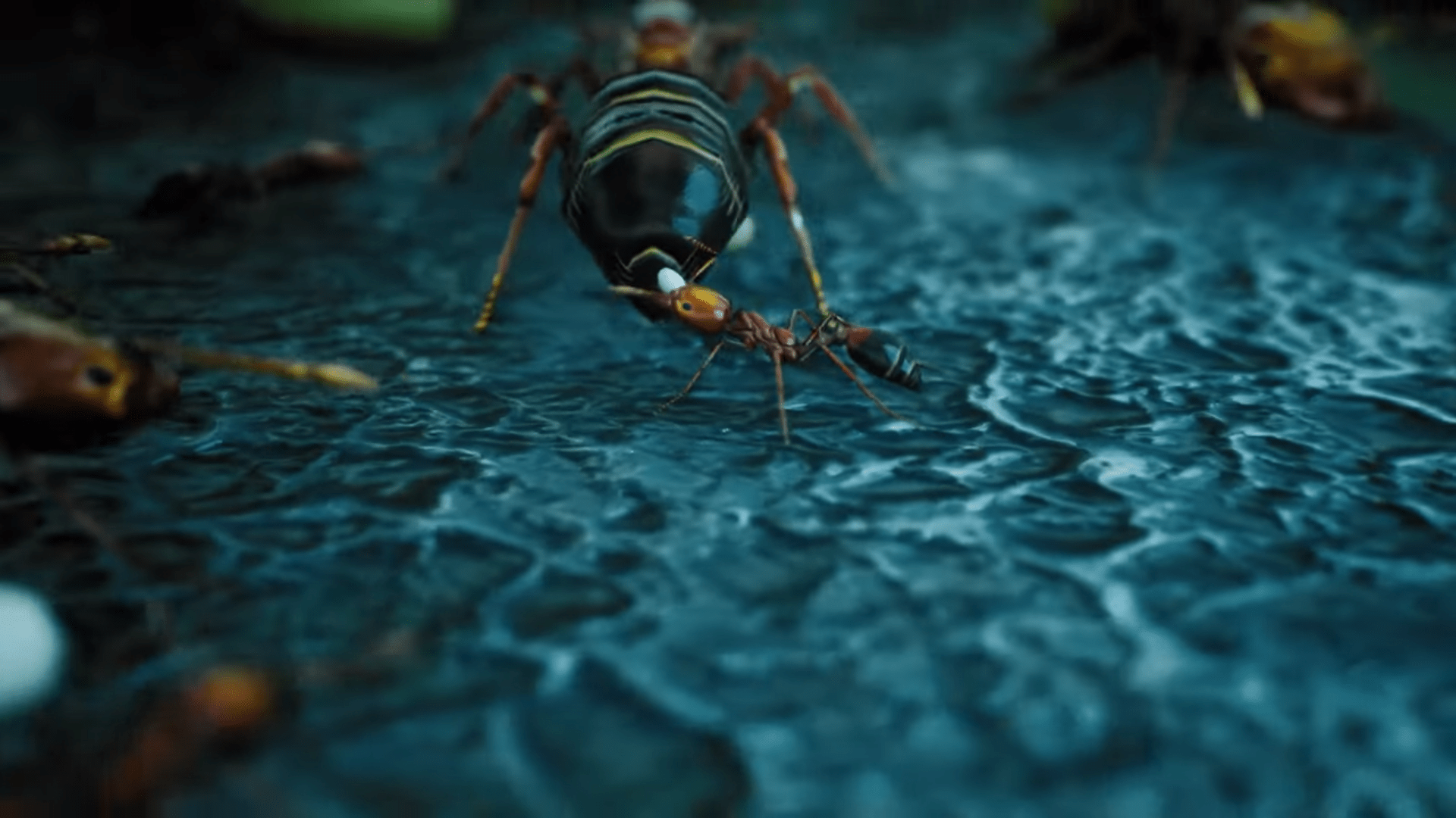 Empires of the Undergrowth storyline