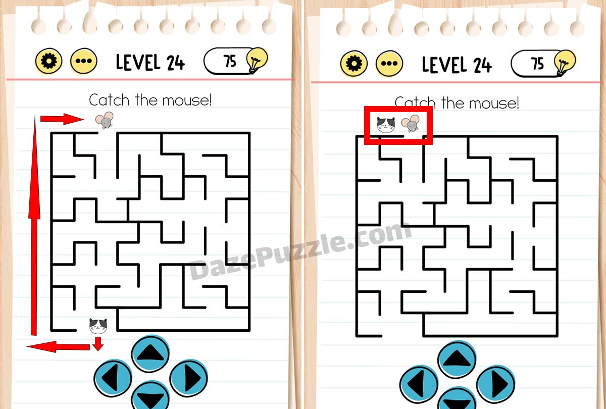 brain test level 24 new