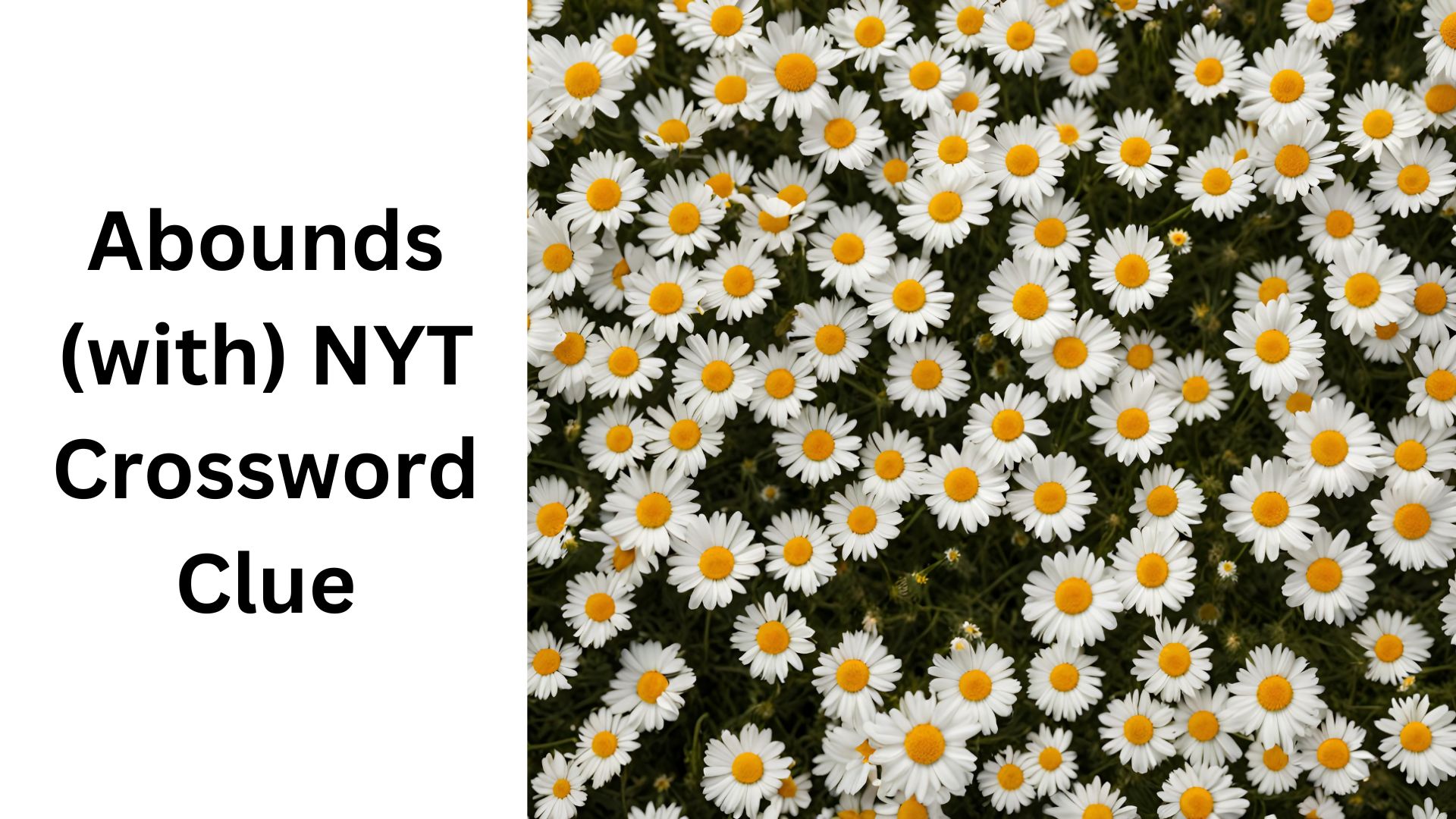 Abounds (with) NYT Crossword Clue