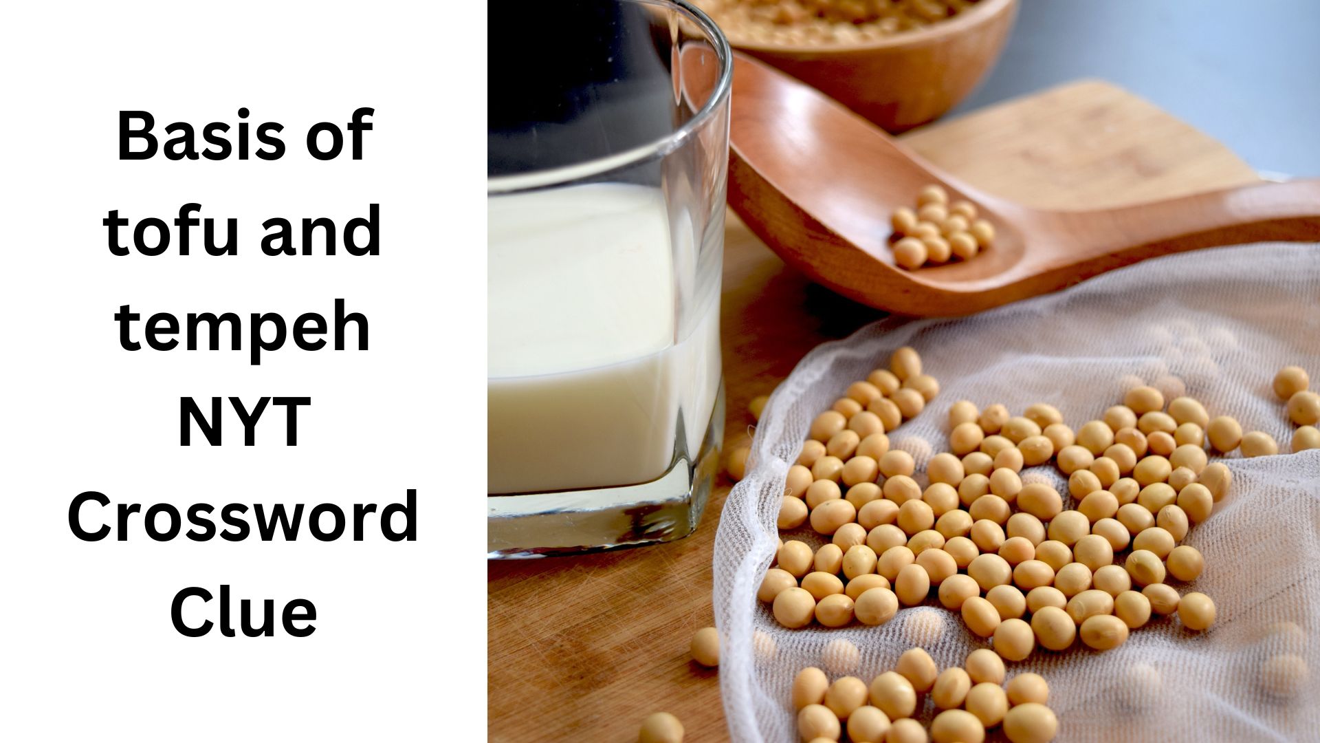 Basis of tofu and tempeh NYT Crossword Clue