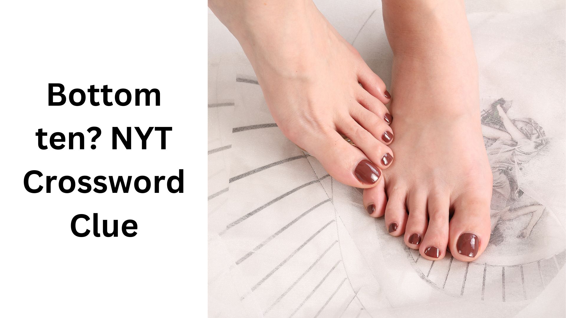 Bottom ten? NYT Crossword Clue