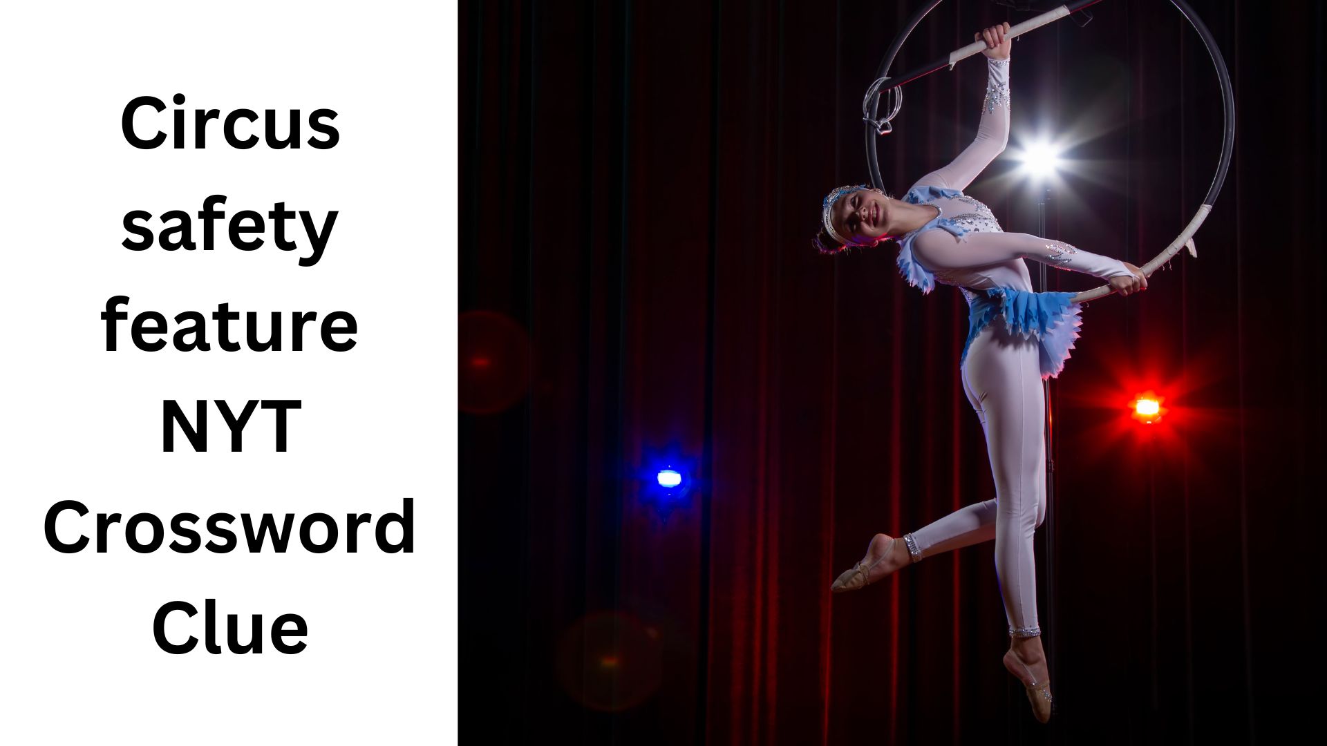 Circus safety feature NYT Crossword Clue