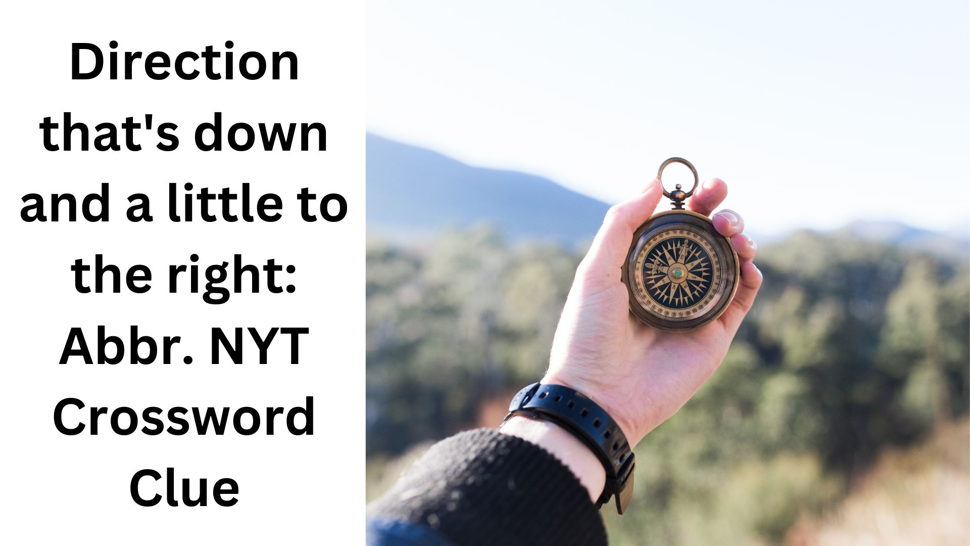 Direction that's down and a little to the right: Abbr. NYT Crossword Clue