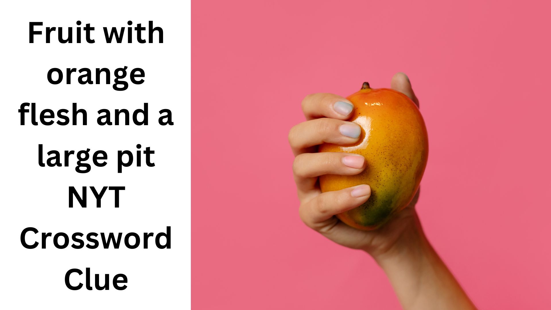 Fruit with orange flesh and a large pit NYT Crossword Clue