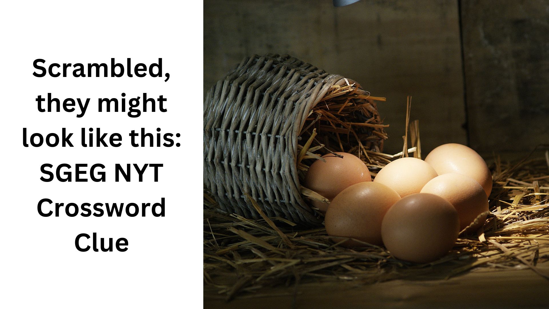 Scrambled, they might look like this: SGEG NYT Crossword Clue