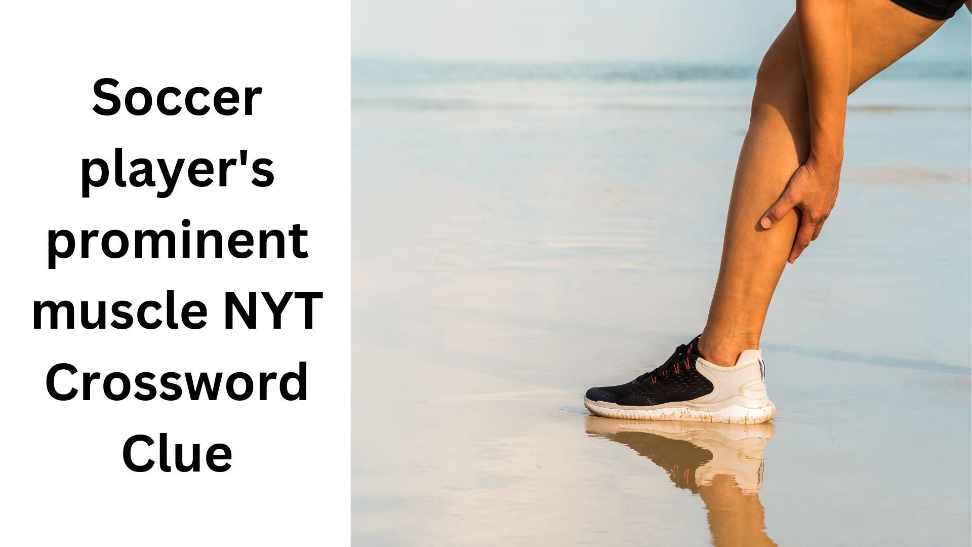 Soccer player's prominent muscle NYT Crossword Clue