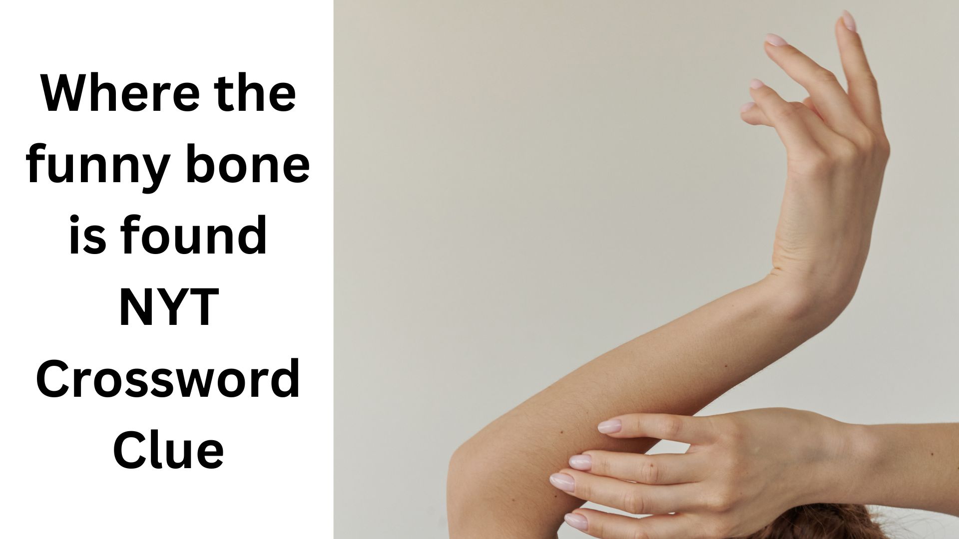 Where the funny bone is found NYT Crossword Clue