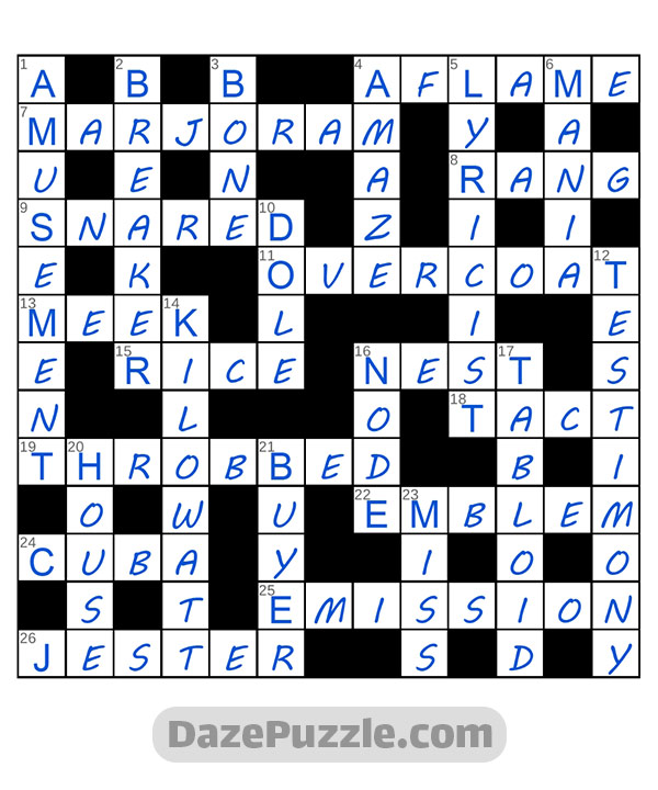 puzzle page challenger 23 august 2024 answer