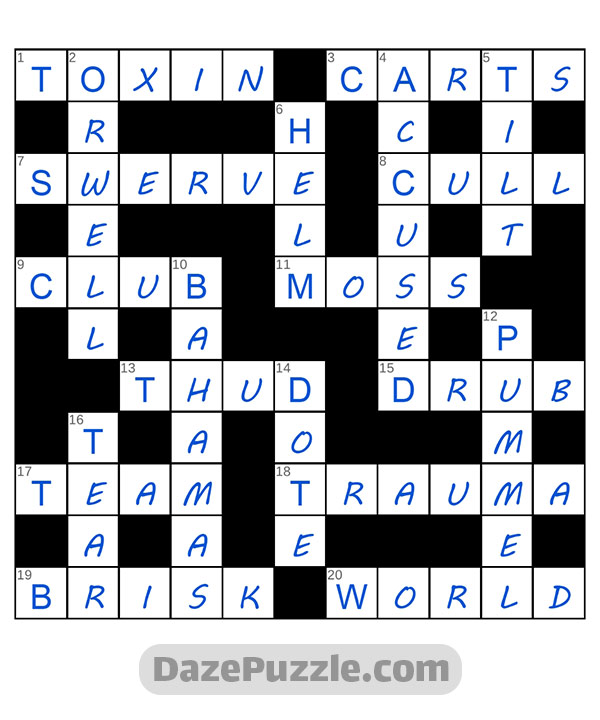 puzzle page crossword 28 august 2024 answer
