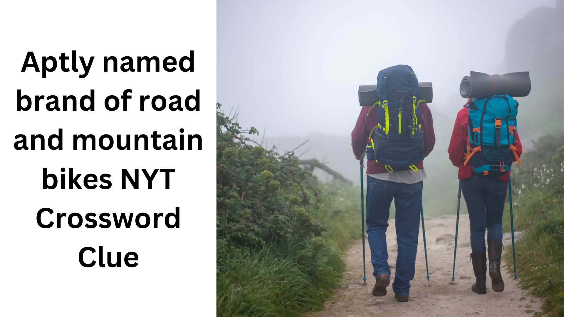 Aptly named brand of road and mountain bikes NYT Crossword Clue