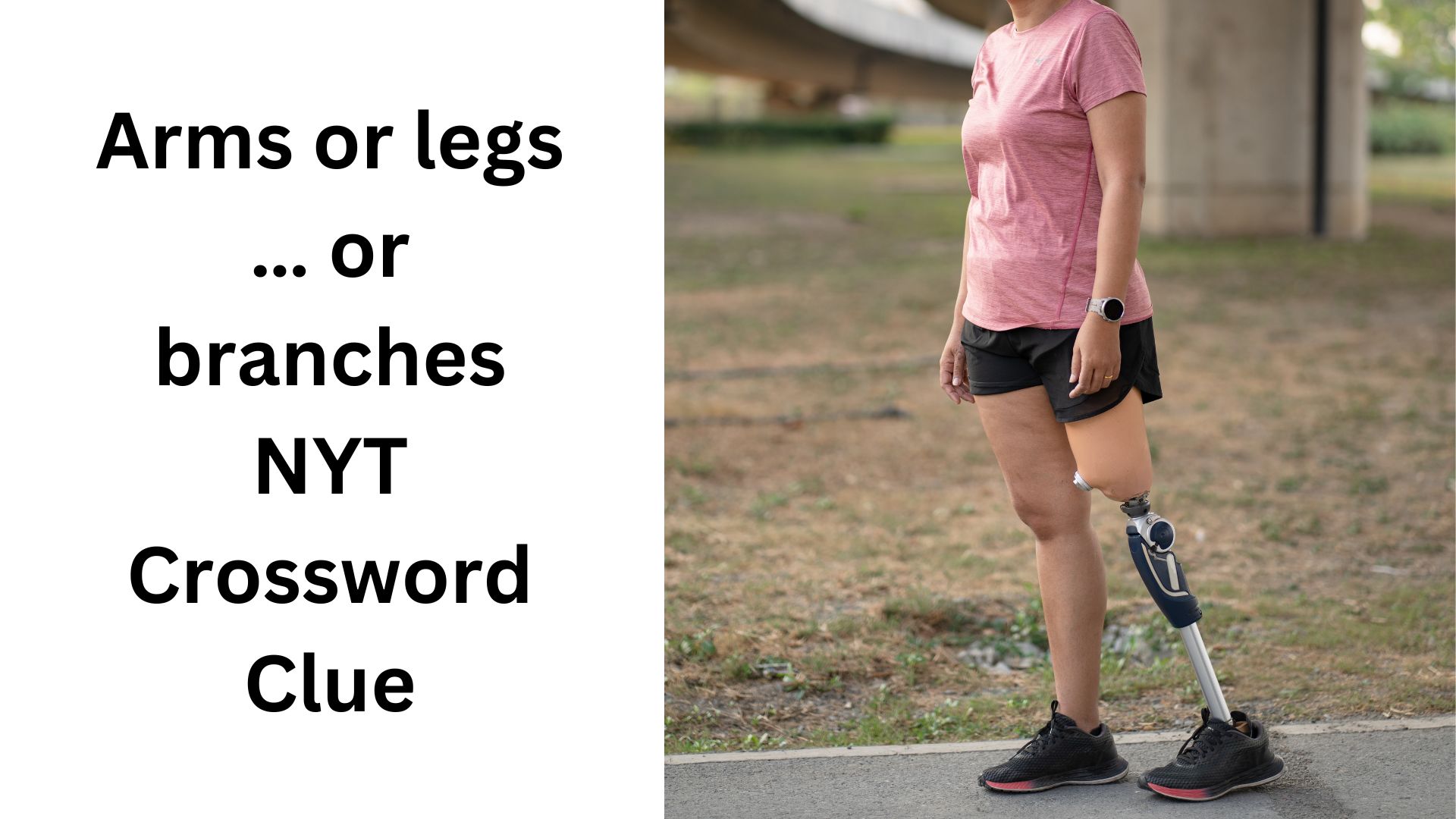 Arms or legs … or branches NYT Crossword Clue