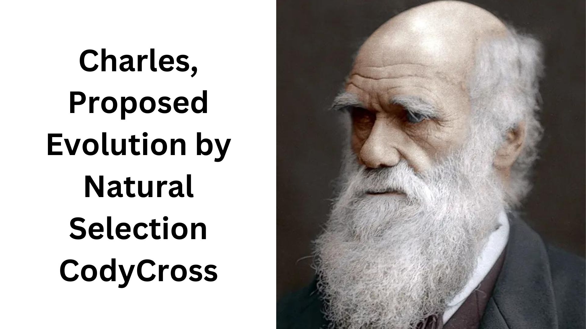 Charles, Proposed Evolution by Natural Selection CodyCross