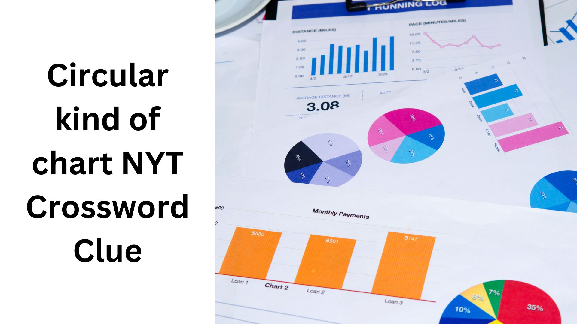 Circular kind of chart NYT Crossword Clue
