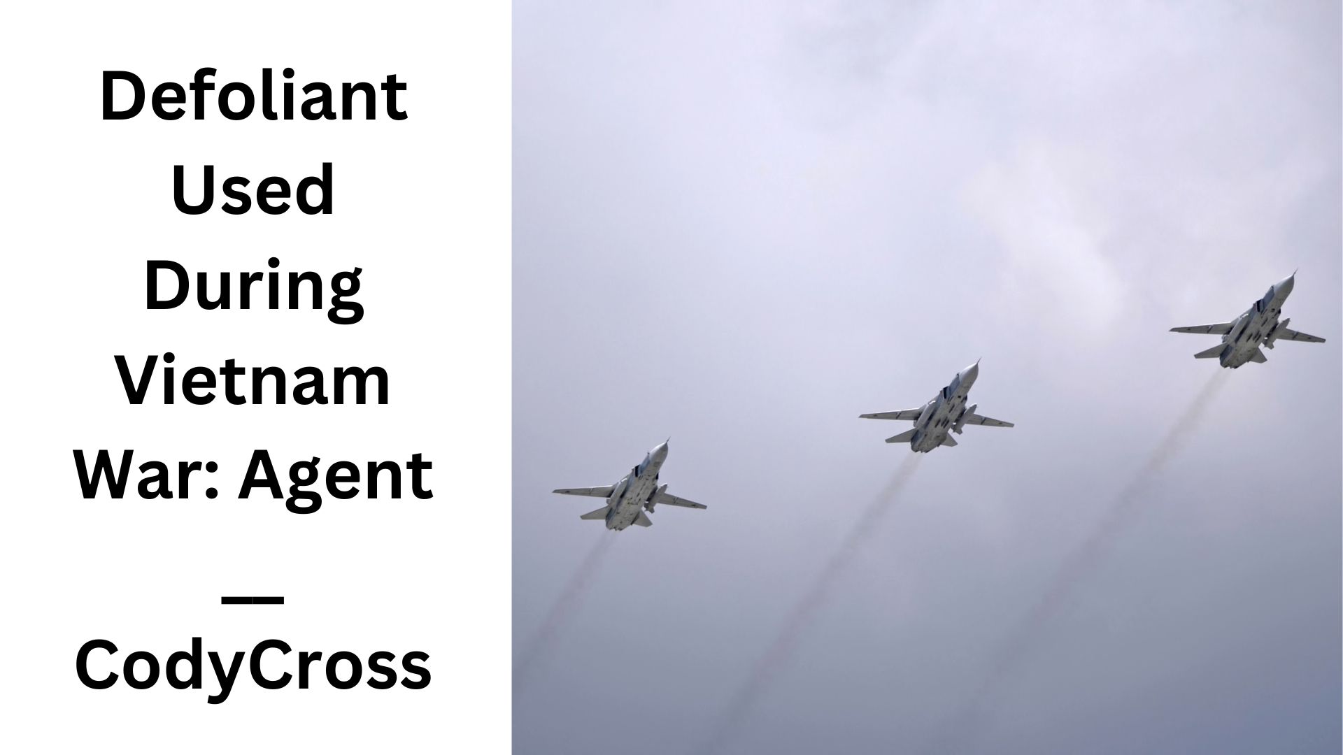 Defoliant Used During Vietnam War: Agent __ CodyCross