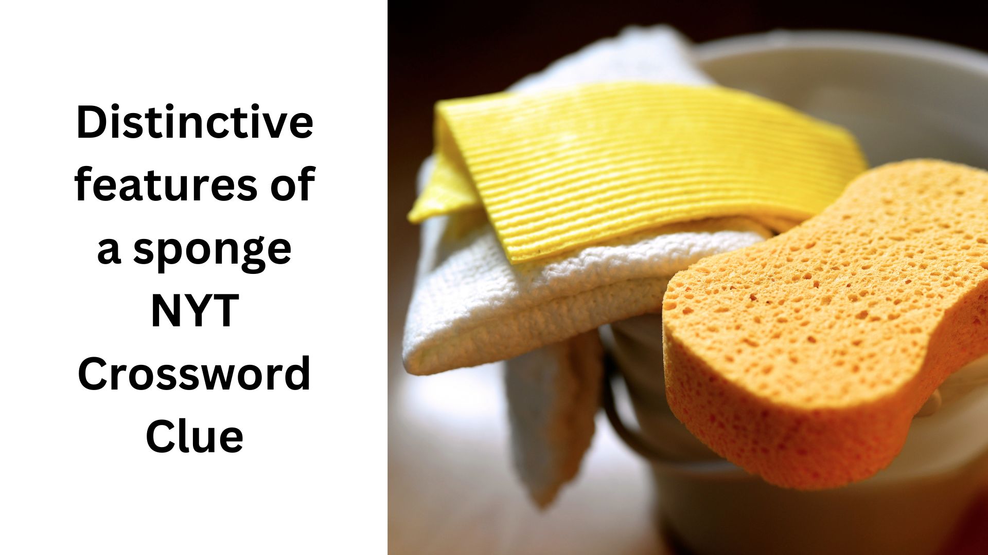 Distinctive features of a sponge NYT Crossword Clue