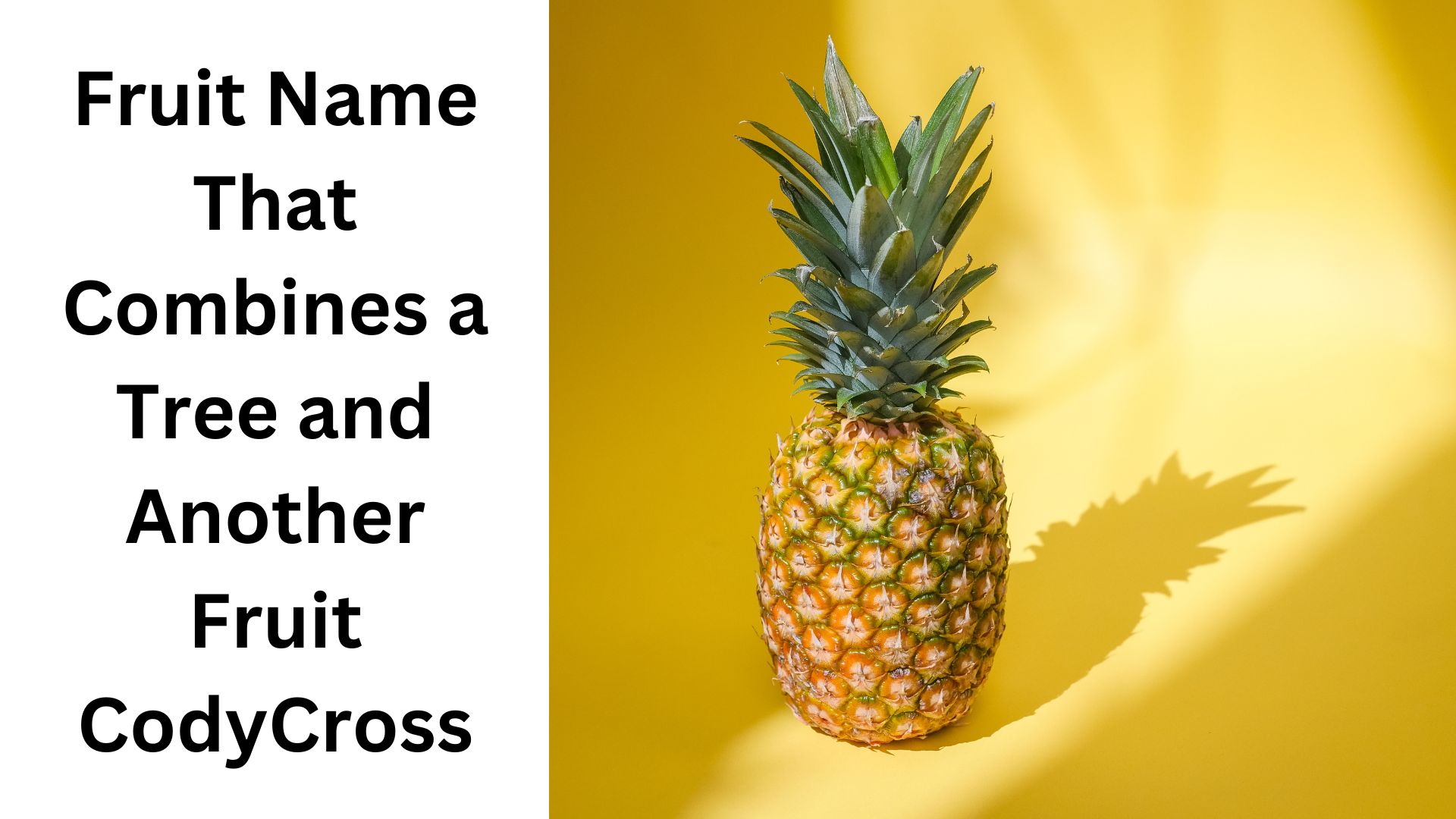 Fruit Name That Combines a Tree and Another Fruit CodyCross