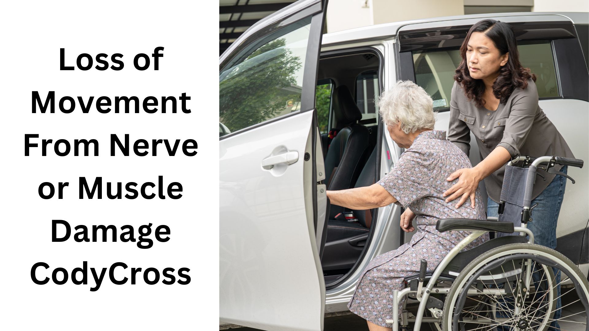 Loss of Movement From Nerve or Muscle Damage CodyCross