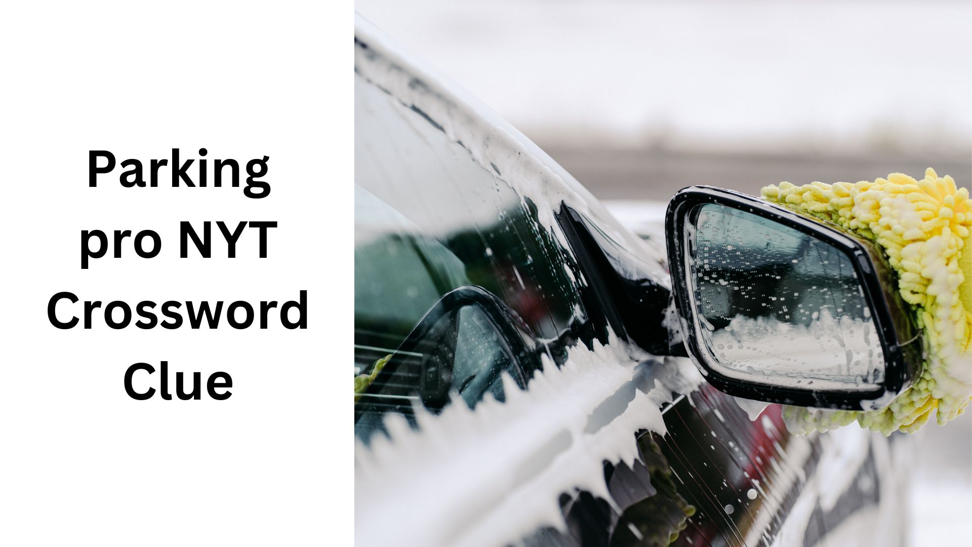 Parking pro NYT Crossword Clue