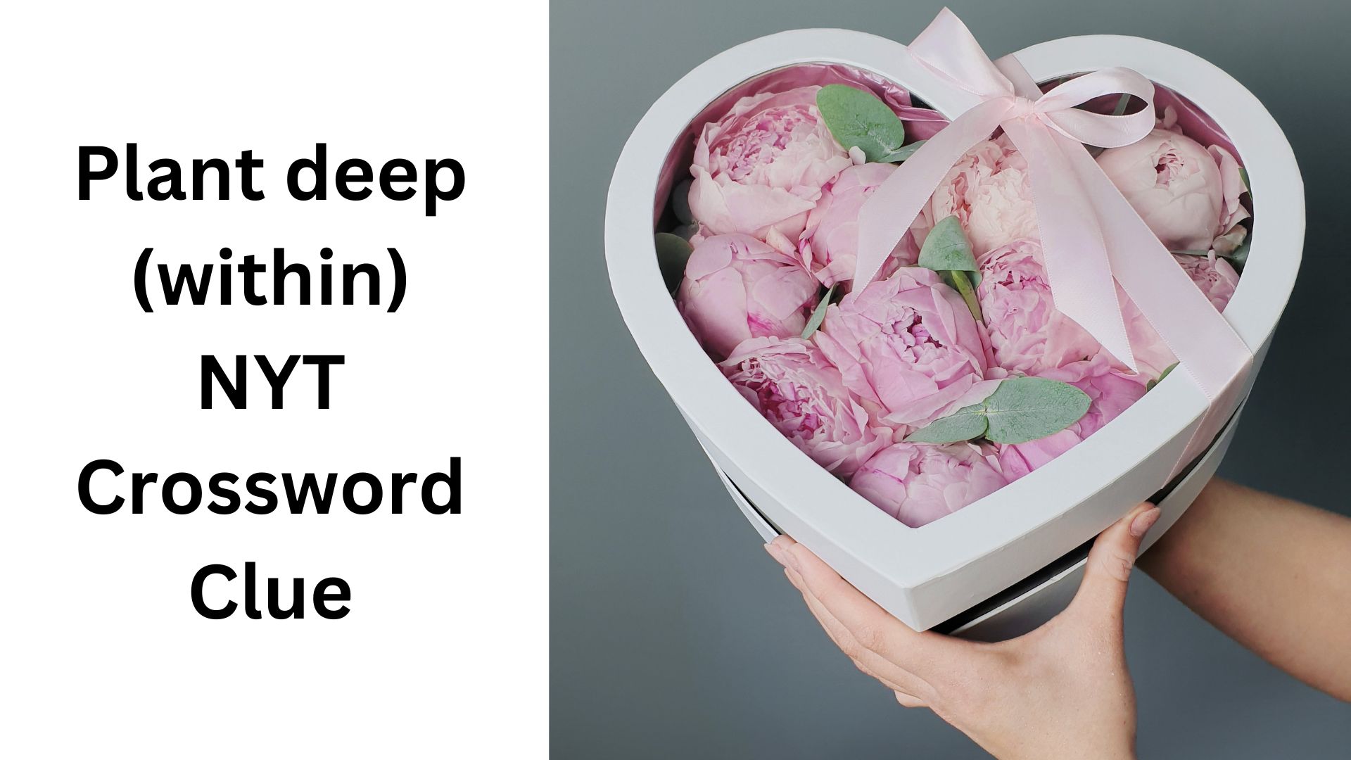 Plant deep (within) NYT Crossword Clue