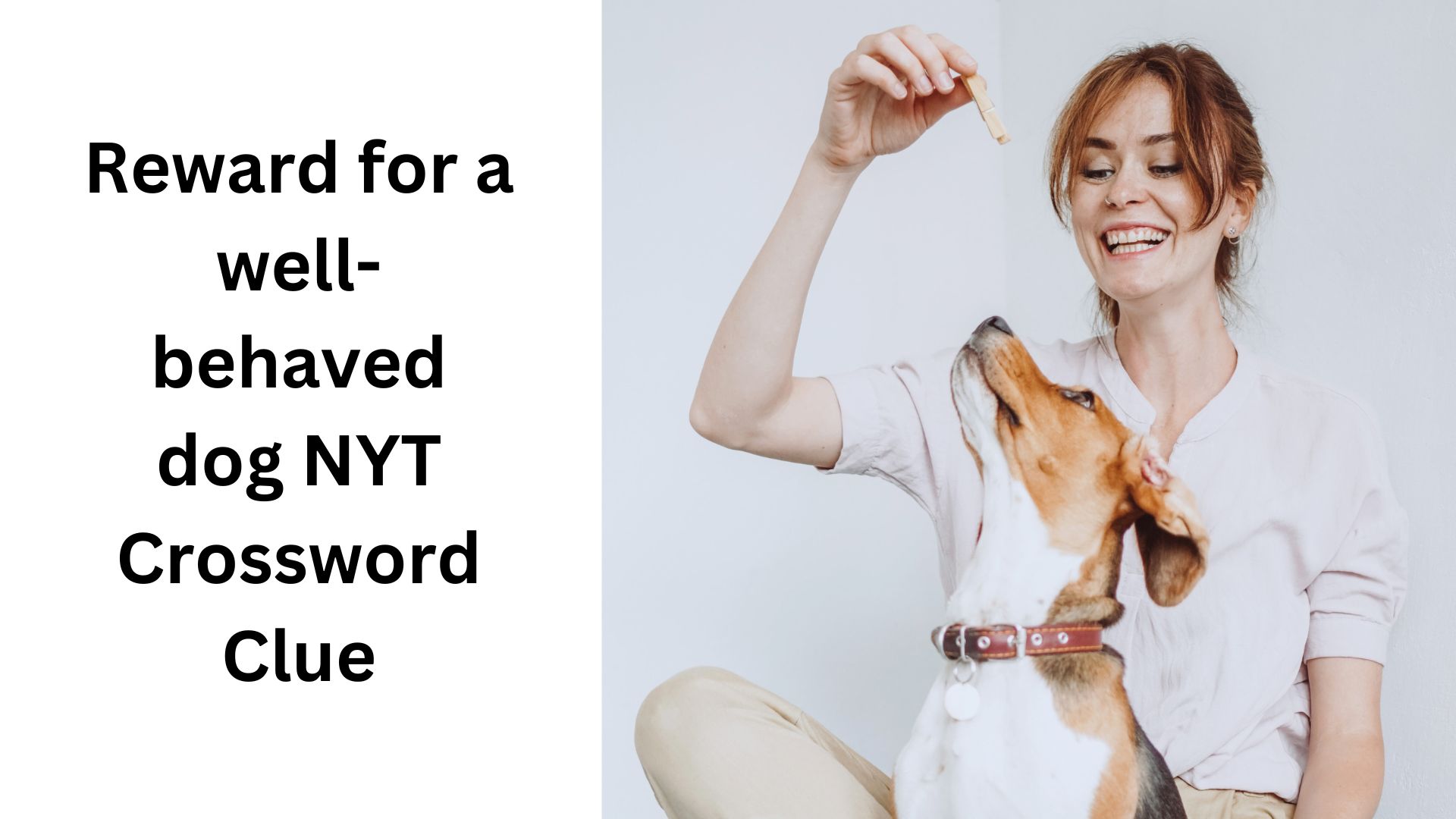 Reward for a well-behaved dog NYT Crossword Clue