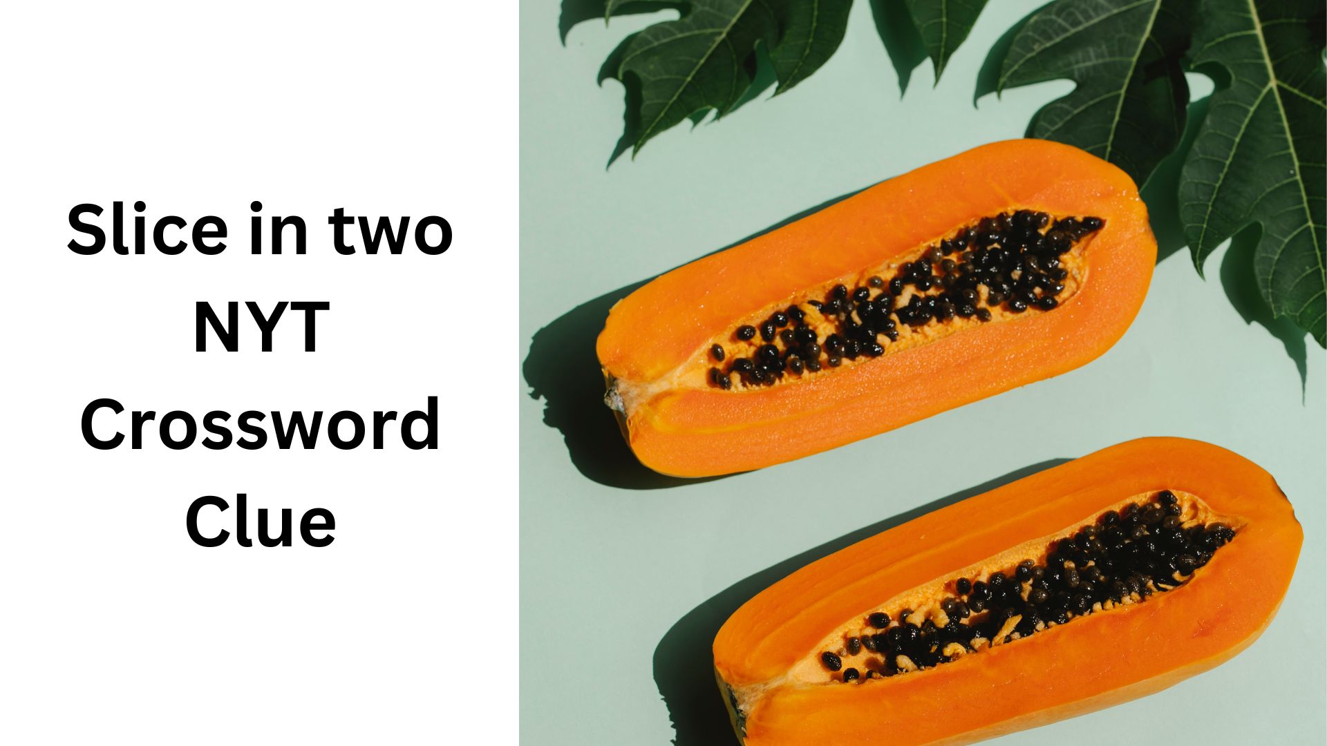 Slice in two NYT Crossword Clue