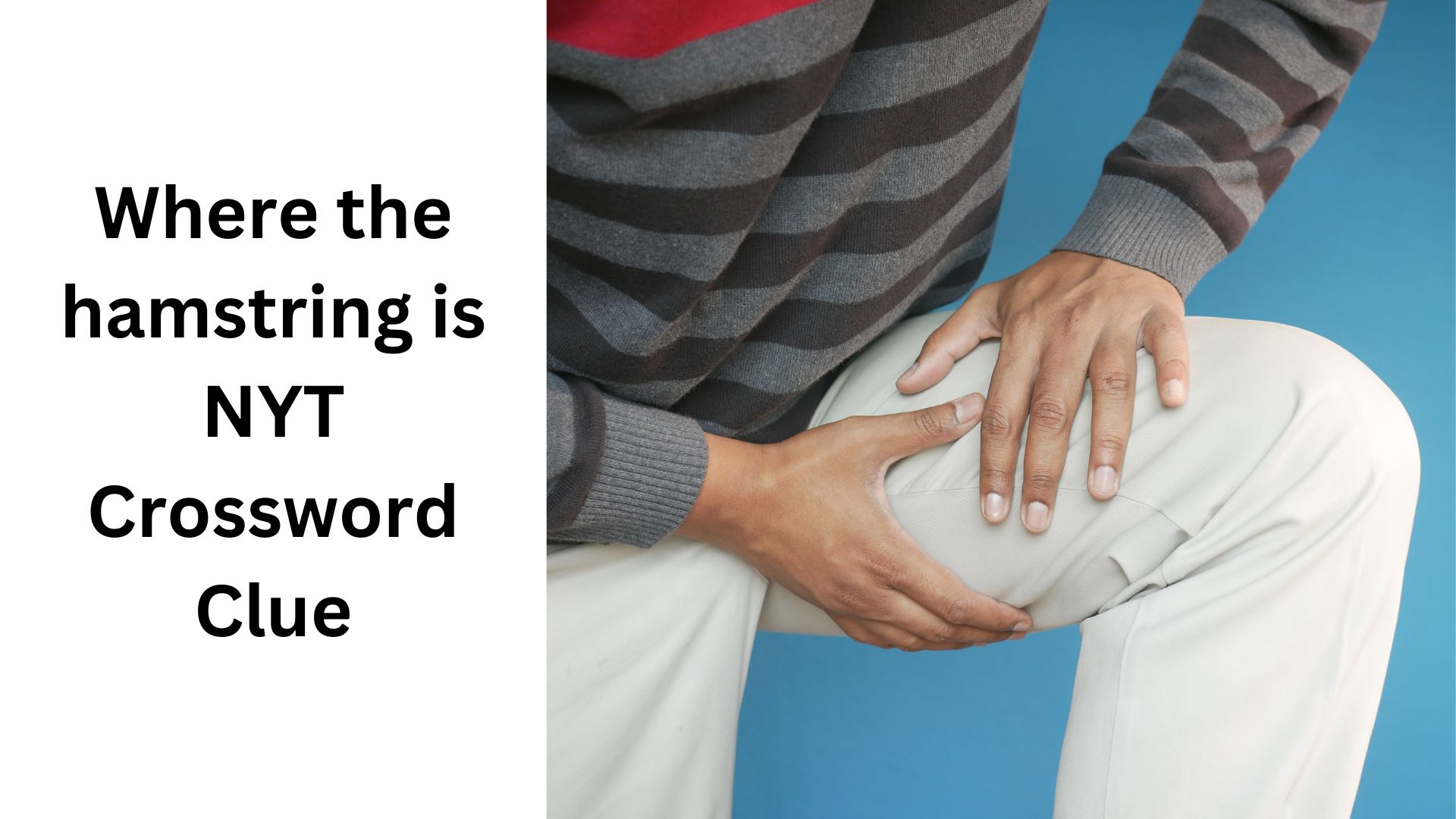 Where the hamstring is NYT Crossword Clue