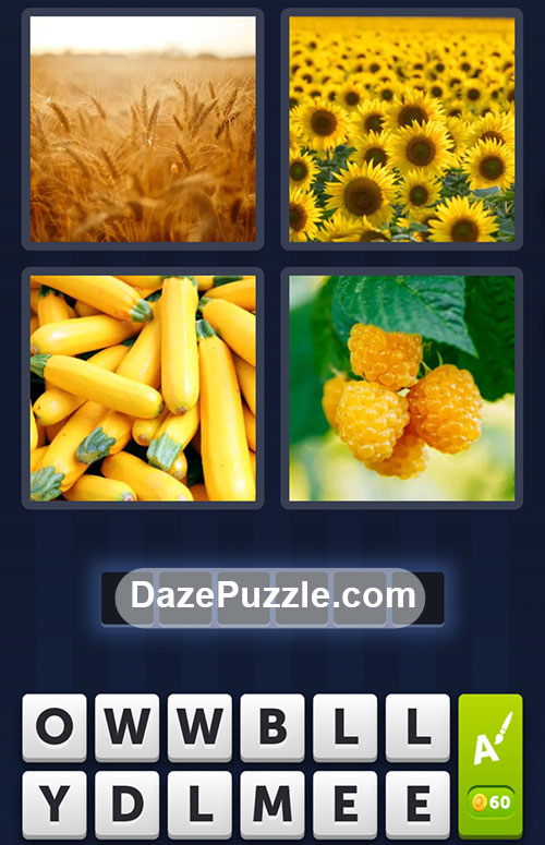 4 Pics 1 Word Daily Bonus Puzzle October 6 2024 Answer