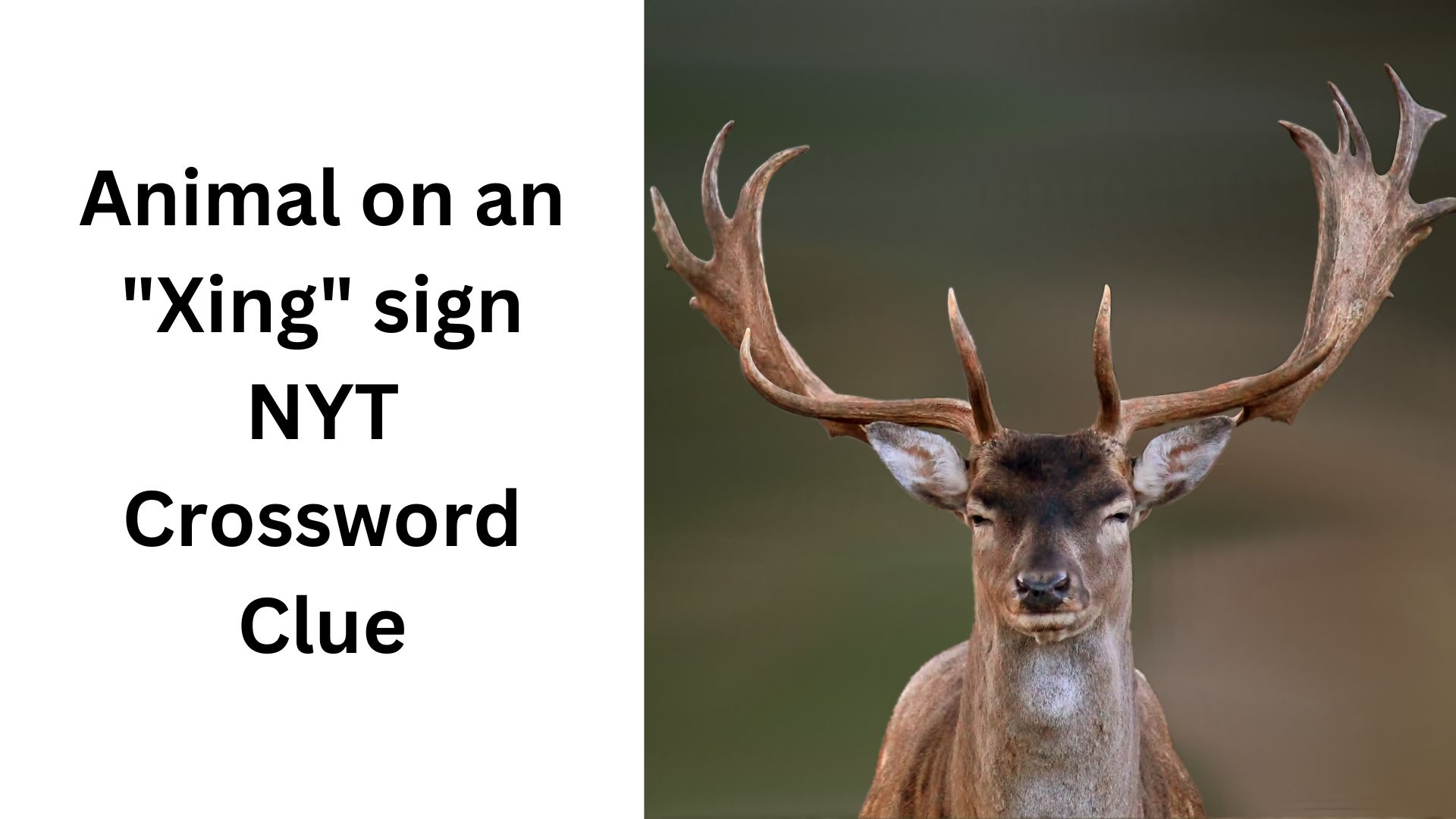 Animal on an "Xing" sign NYT Crossword Clue