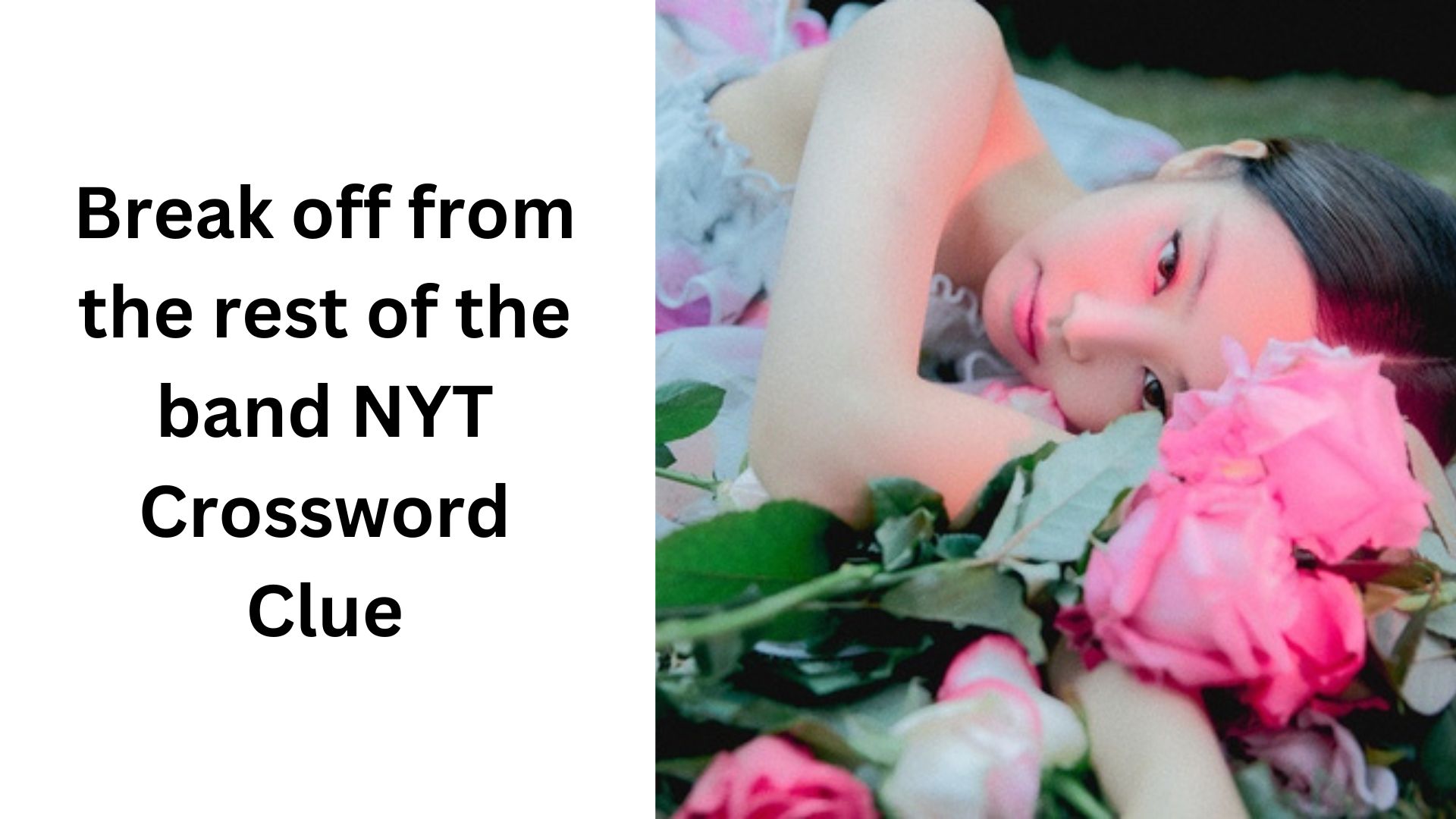 Break off from the rest of the band NYT Crossword Clue