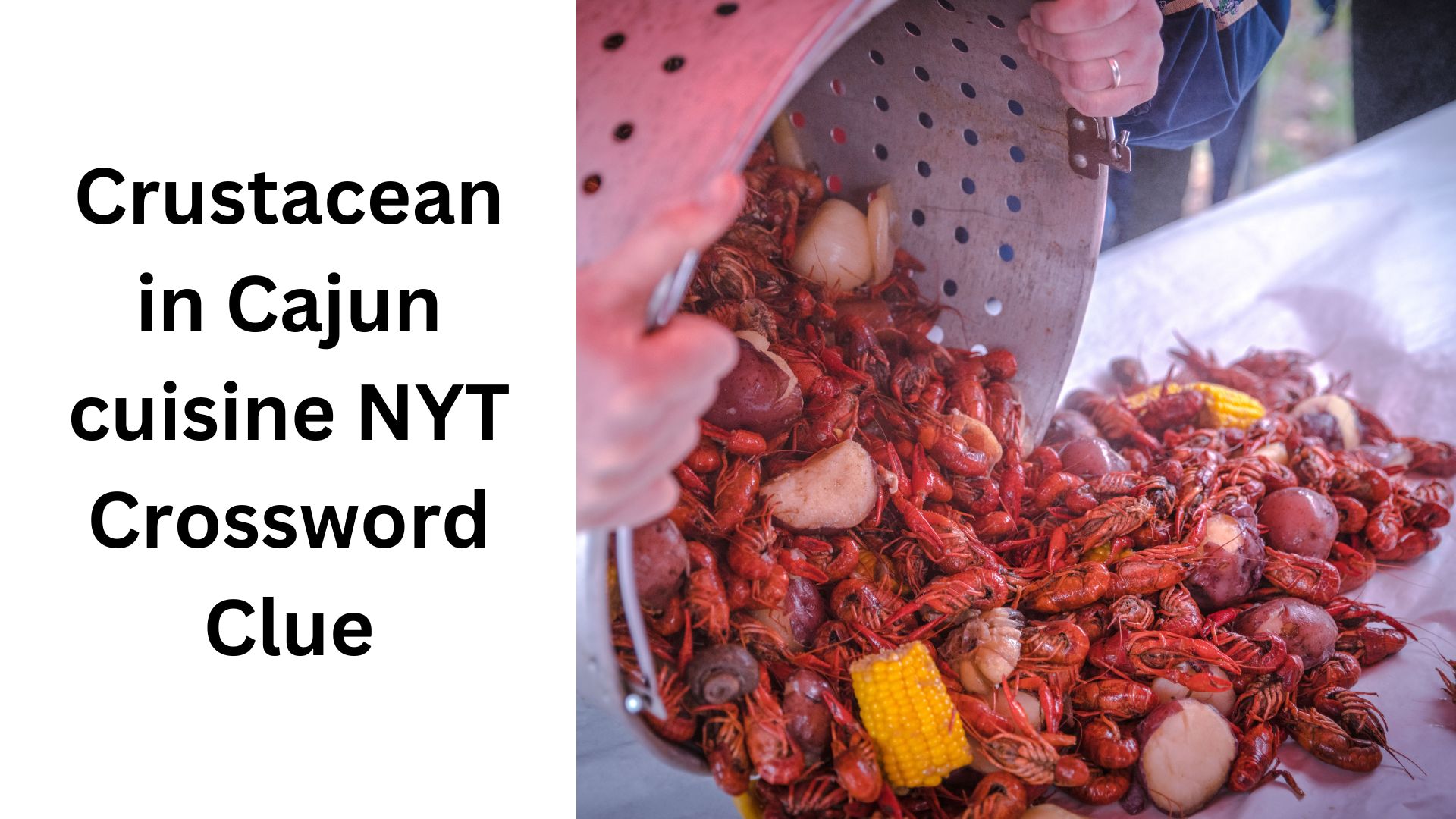 Crustacean in Cajun cuisine NYT Crossword Clue