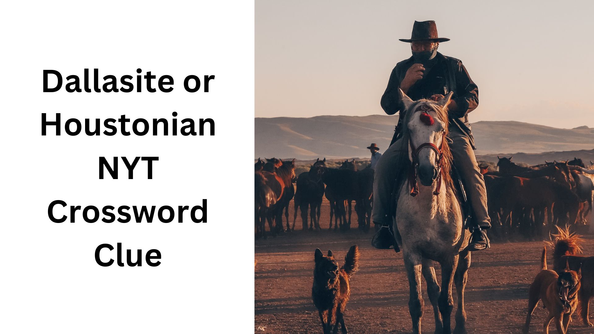 Dallasite or Houstonian NYT Crossword Clue