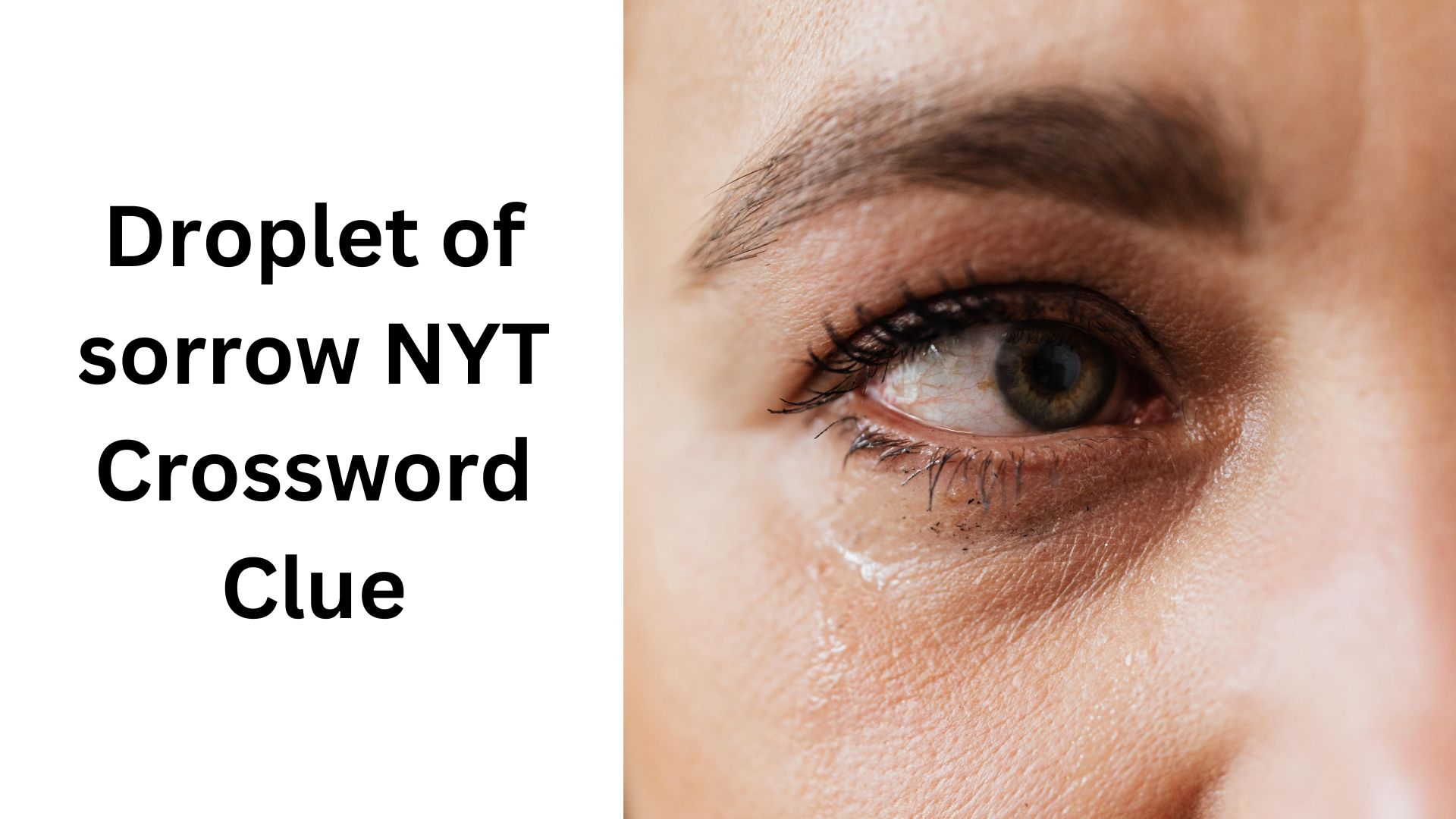 Droplet of sorrow NYT Crossword Clue