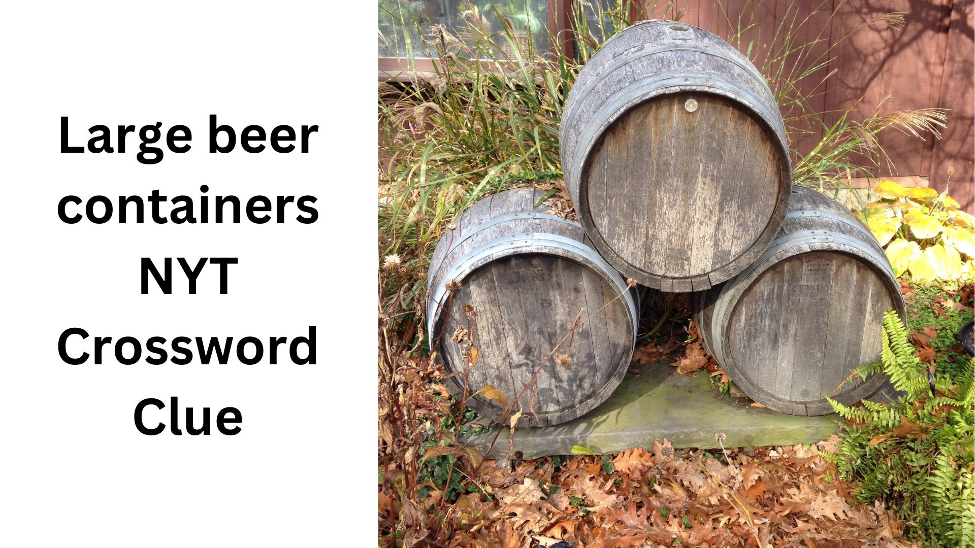 Large beer containers NYT Crossword Clue