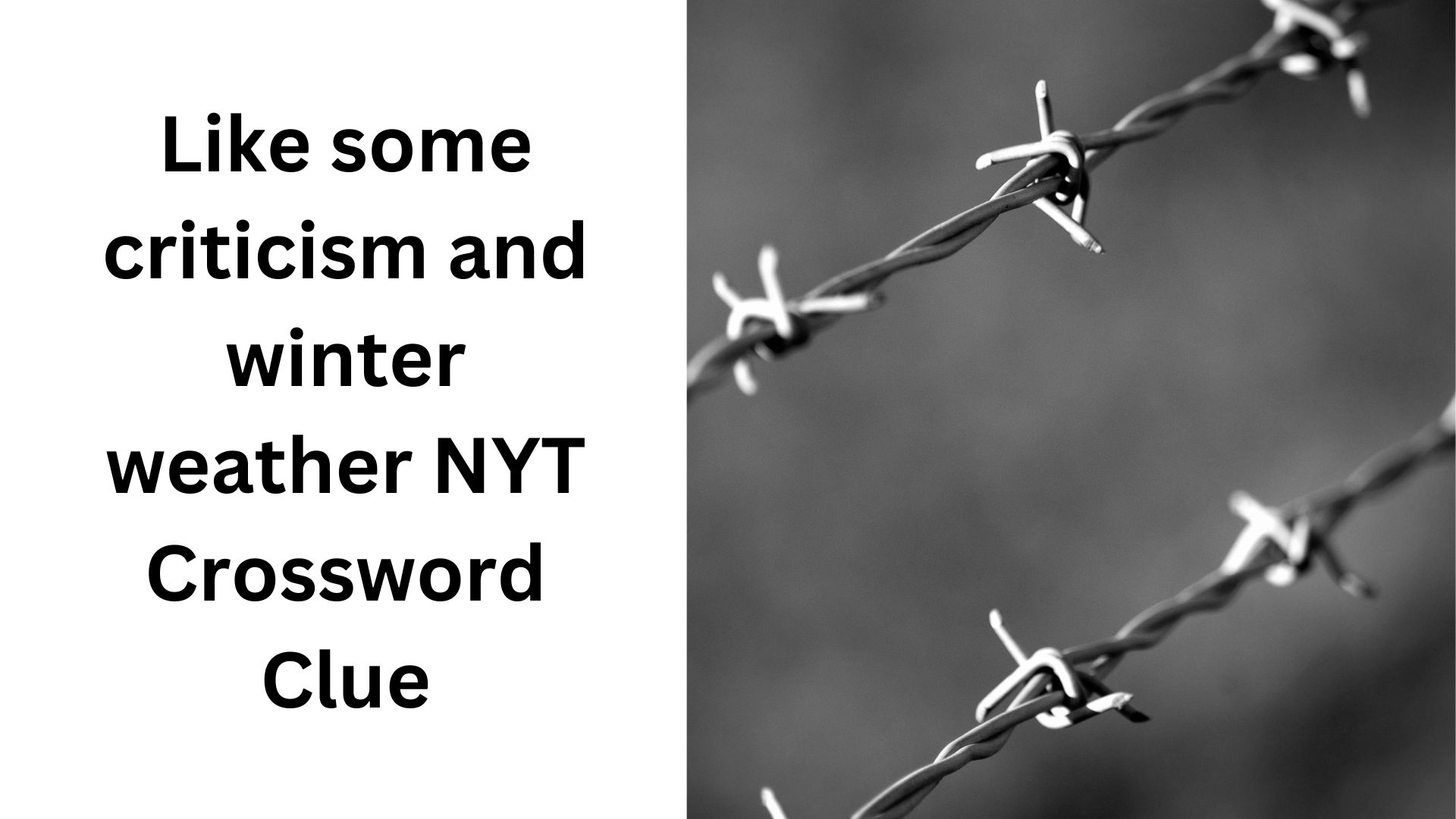 Like some criticism and winter weather NYT Crossword Clue