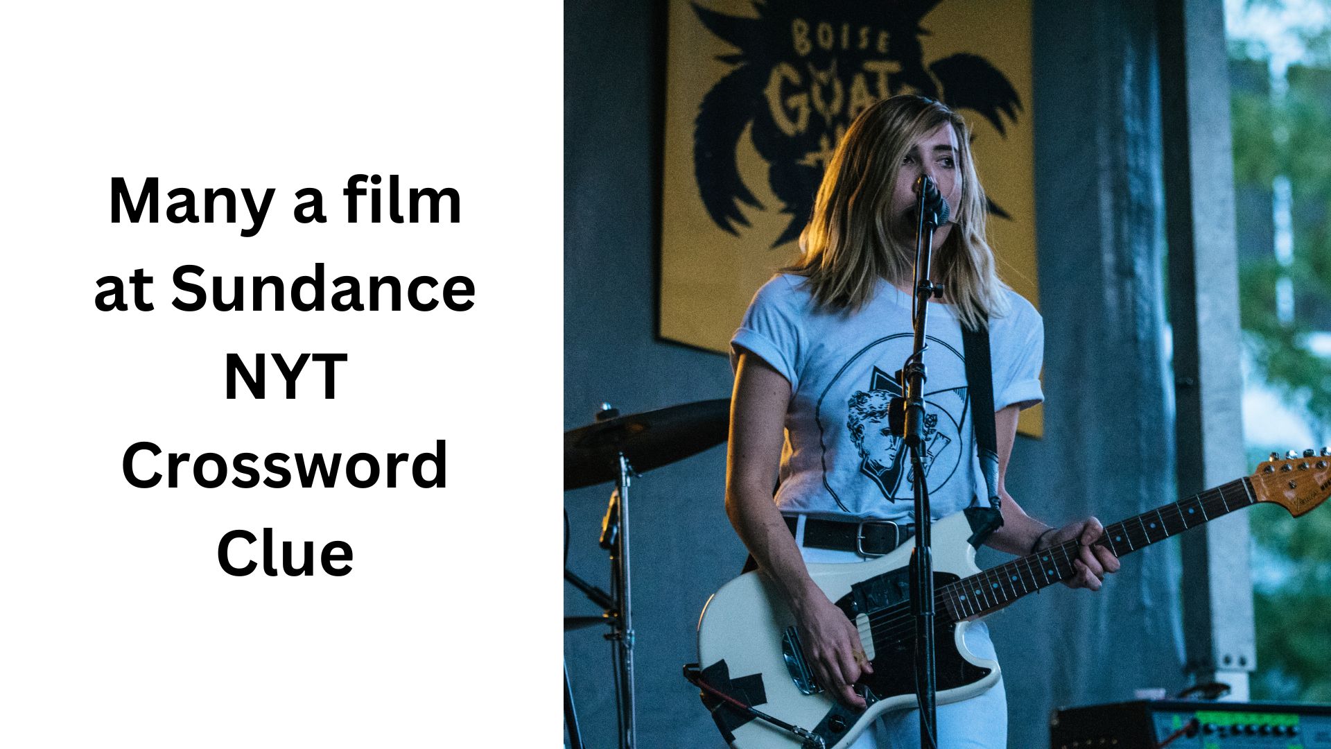 Many a film at Sundance NYT Crossword Clue