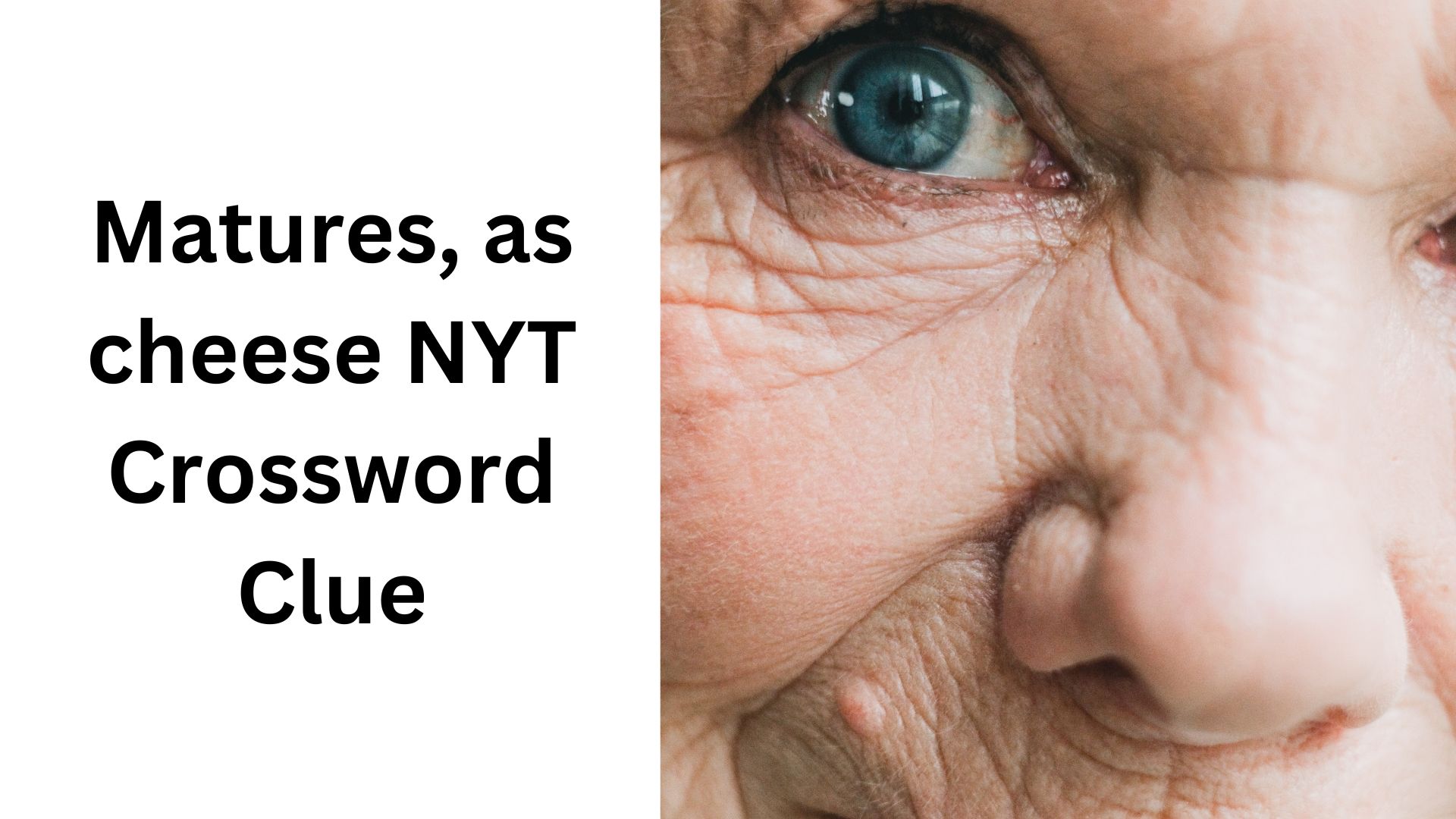 Matures, as cheese NYT Crossword Clue