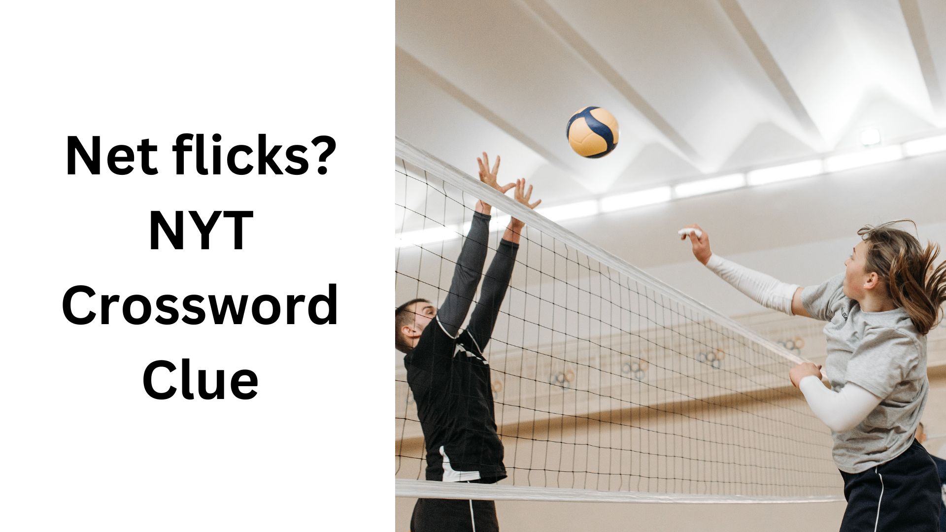Net flicks? NYT Crossword Clue
