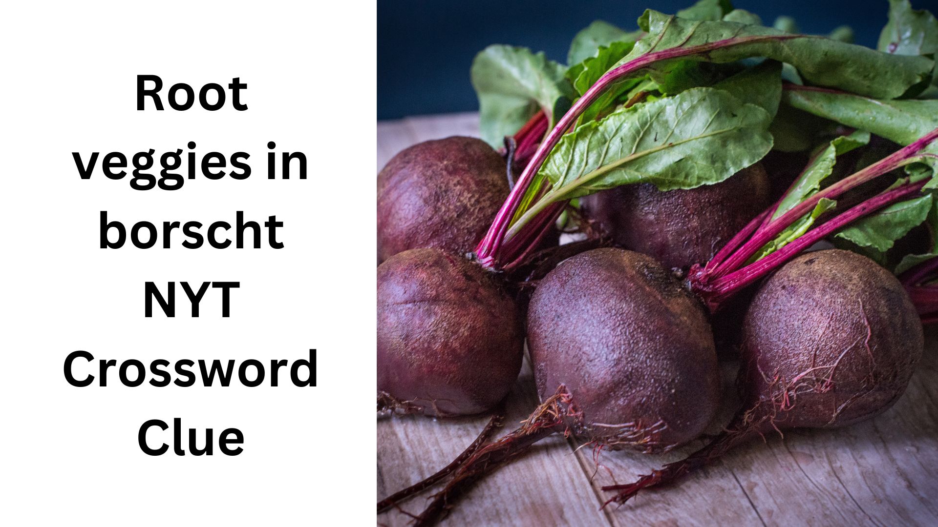 Root veggies in borscht NYT Crossword Clue