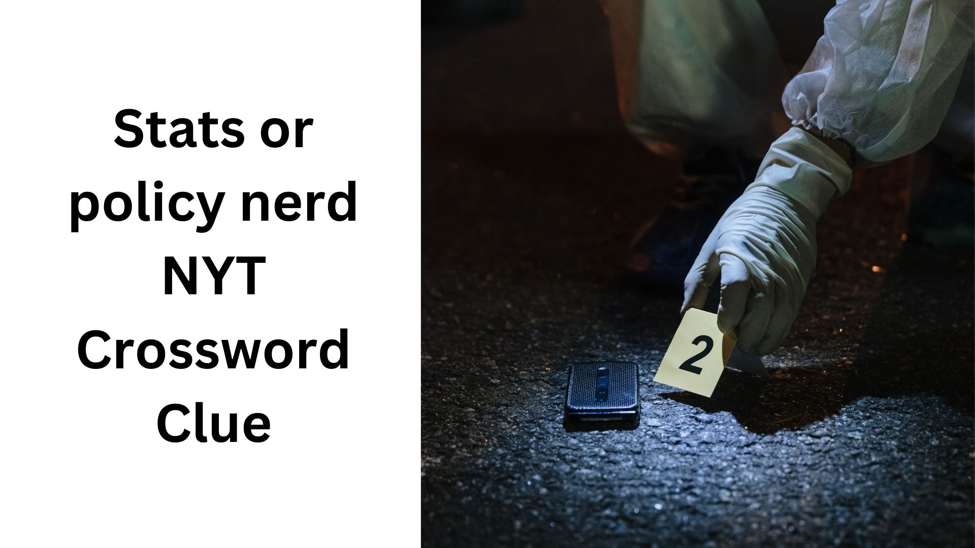 Stats or policy nerd NYT Crossword Clue