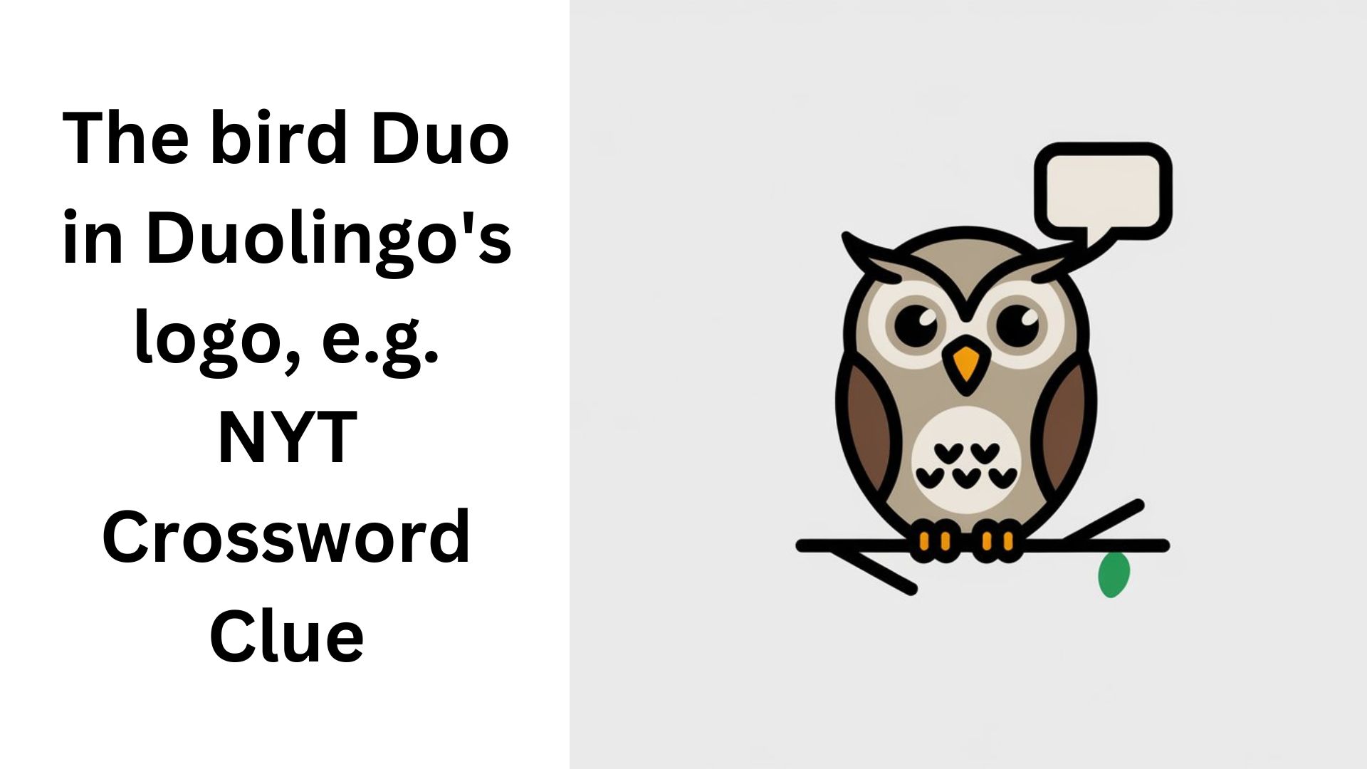 The bird Duo in Duolingo's logo, e.g. NYT Crossword Clue