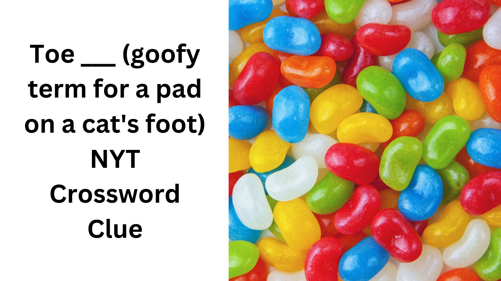 Toe ___ (goofy term for a pad on a cat's foot) NYT Crossword Clue