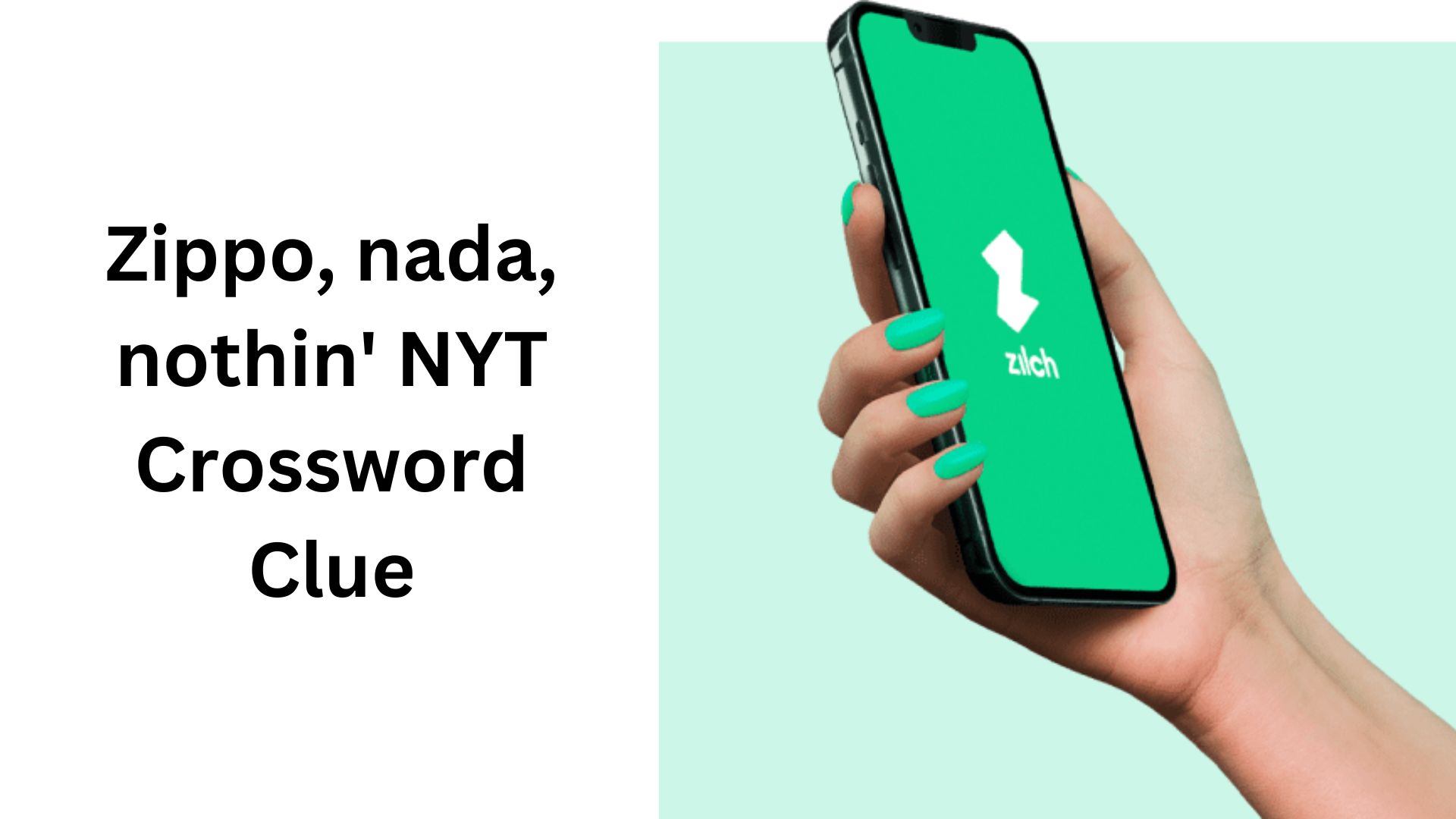 Zippo, nada, nothin' NYT Crossword Clue