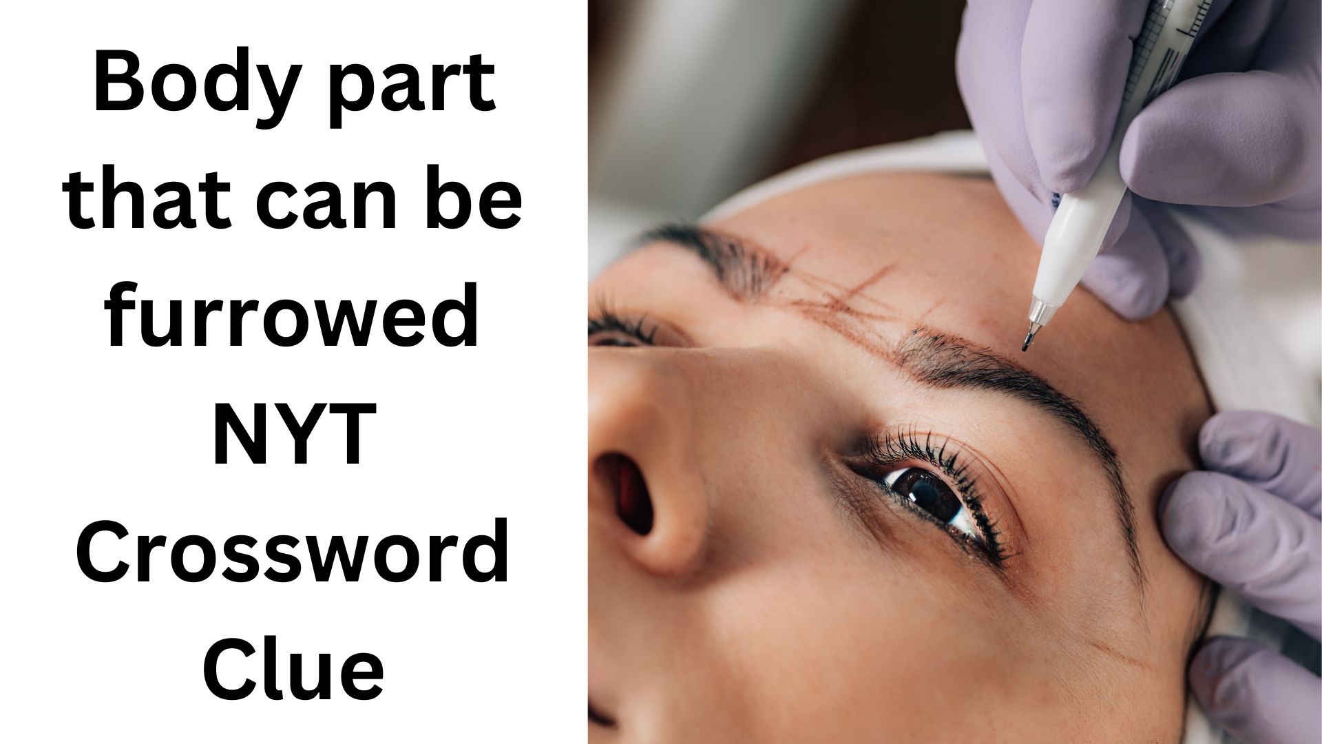 Body part that can be furrowed NYT Crossword Clue