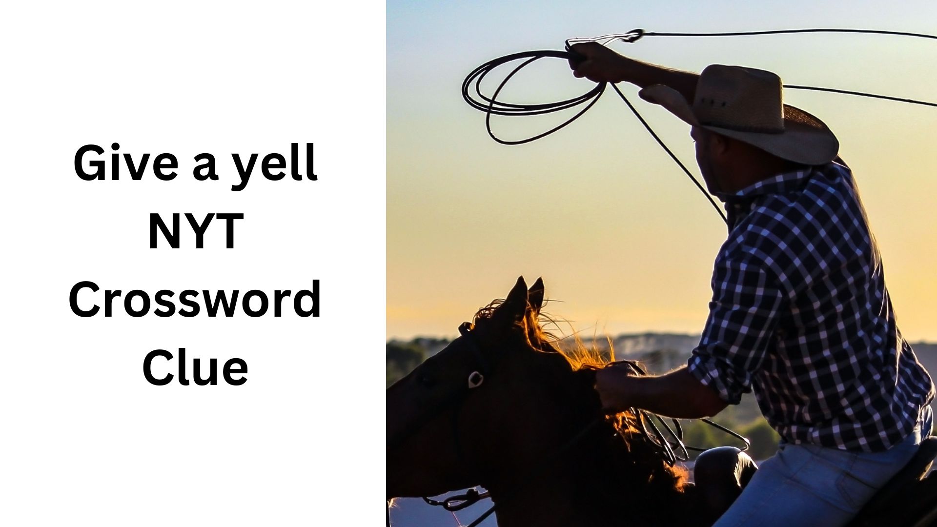 Give a yell NYT Crossword Clue