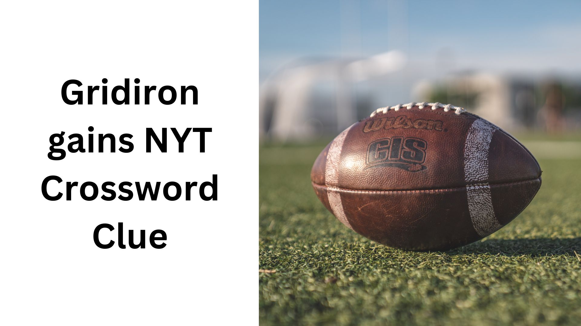 Gridiron gains NYT Crossword Clue