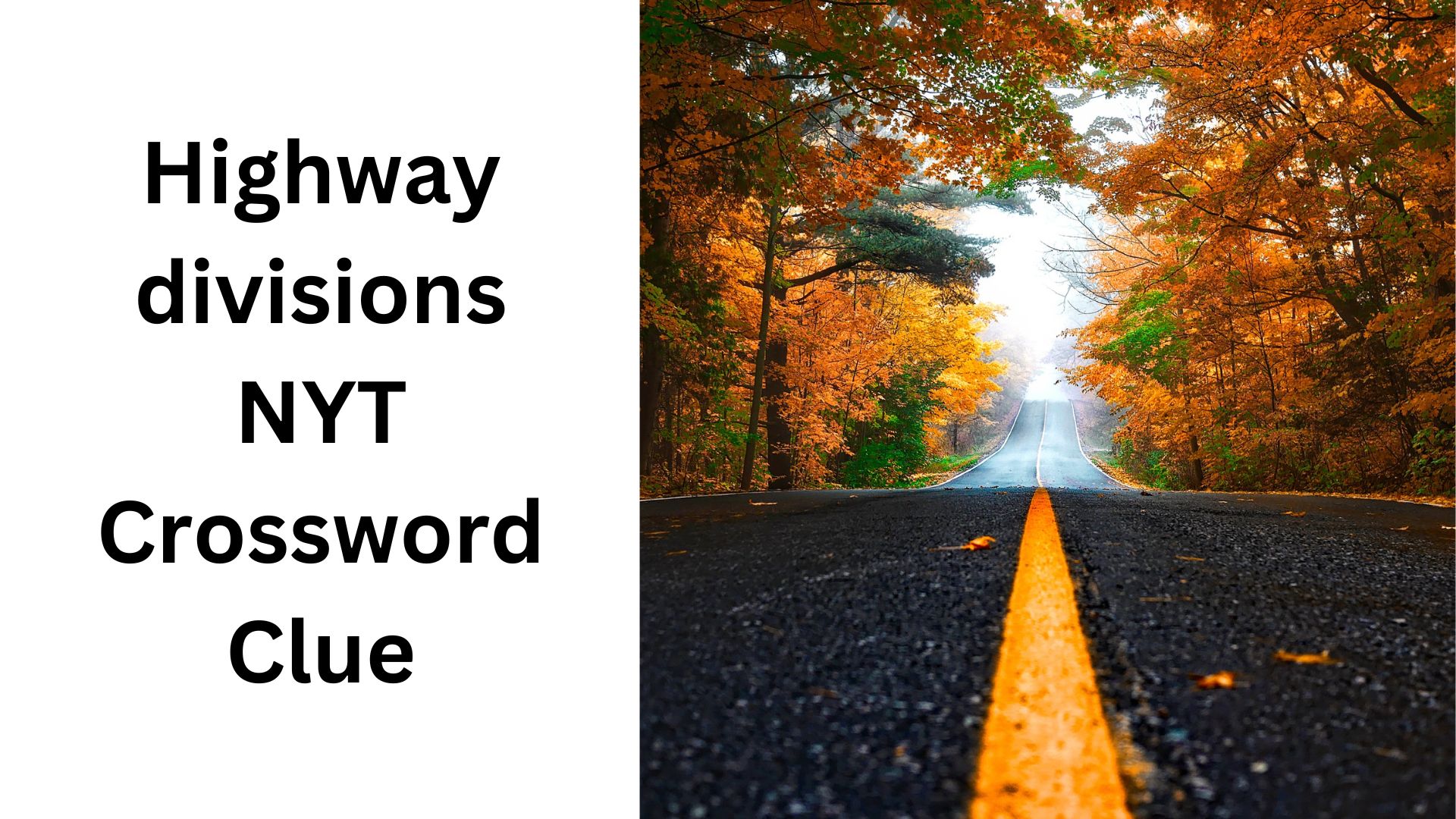 Highway divisions NYT Crossword Clue