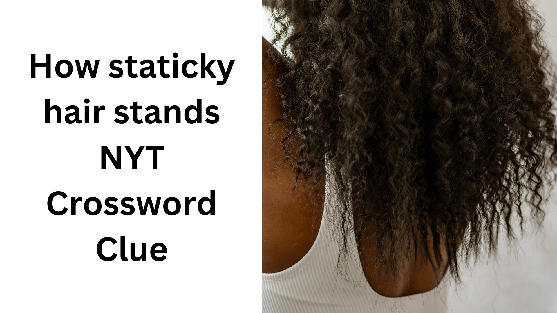 How staticky hair stands NYT Crossword Clue