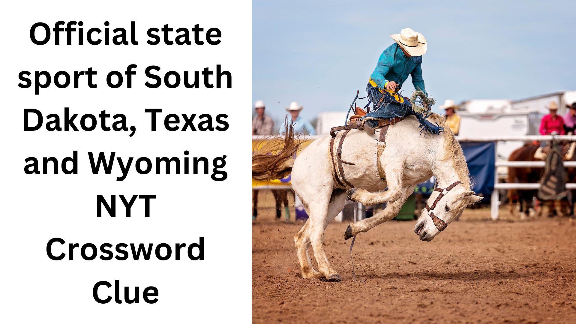 Official state sport of South Dakota, Texas and Wyoming NYT Crossword Clue